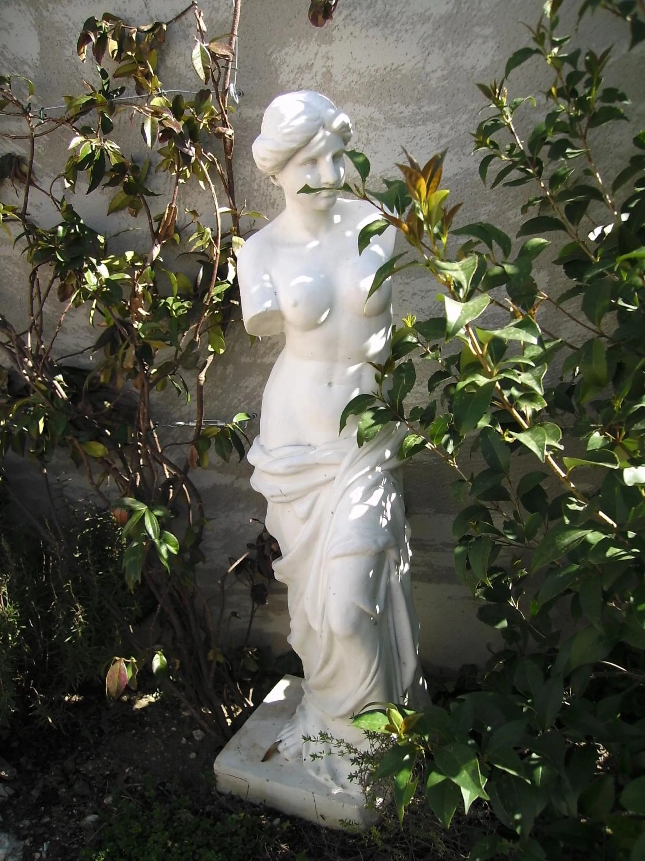 Decorative detail in "Le Vent d'Étoile" B&B and Guesthouses