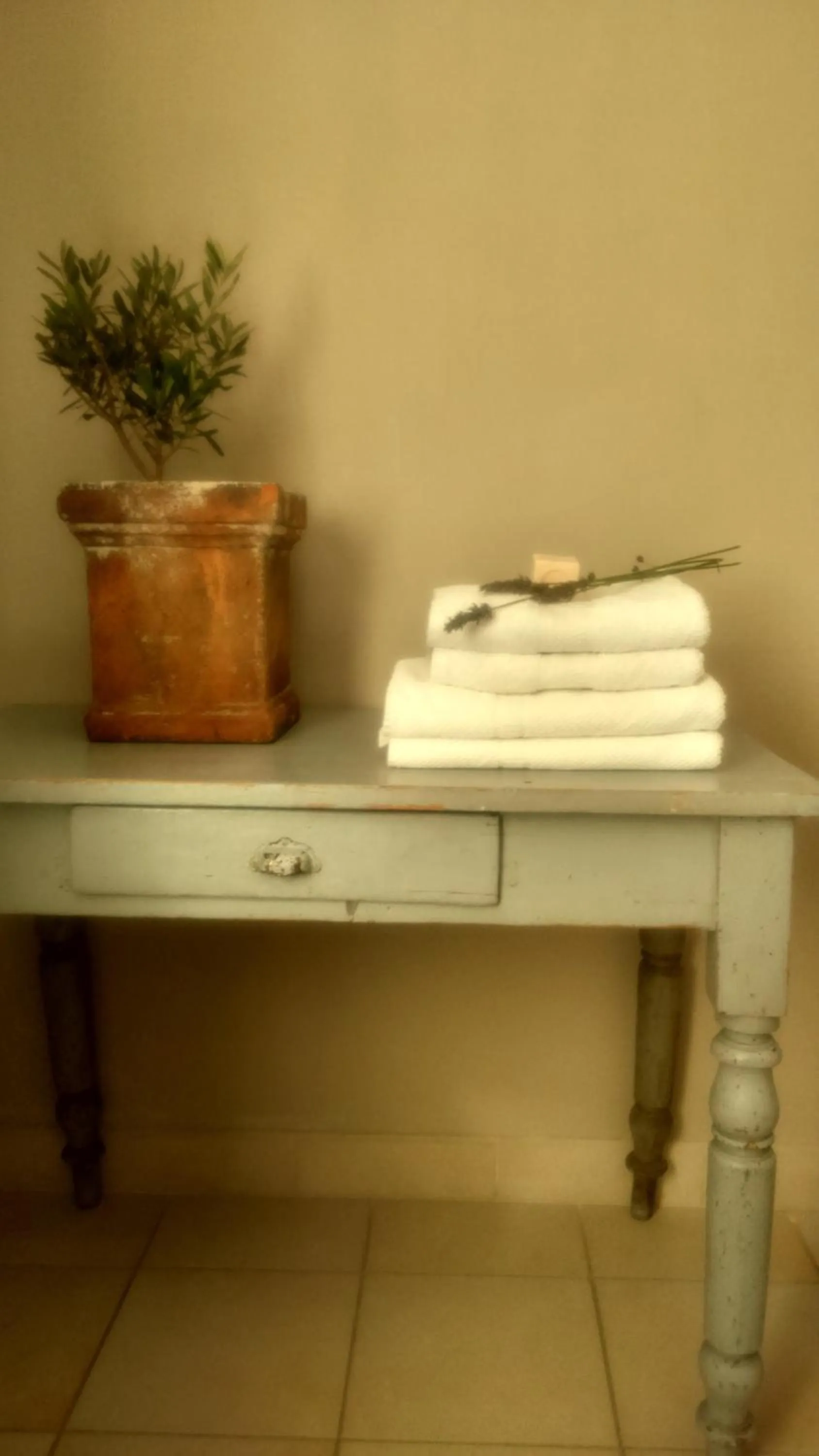 Decorative detail in "Le Vent d'Étoile" B&B and Guesthouses