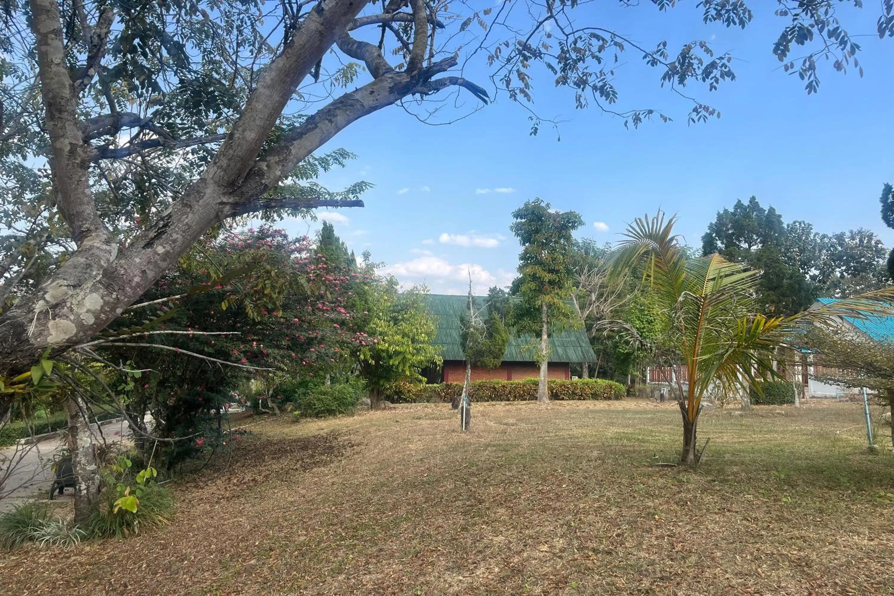 Natural landscape in PAI Hillside Resort