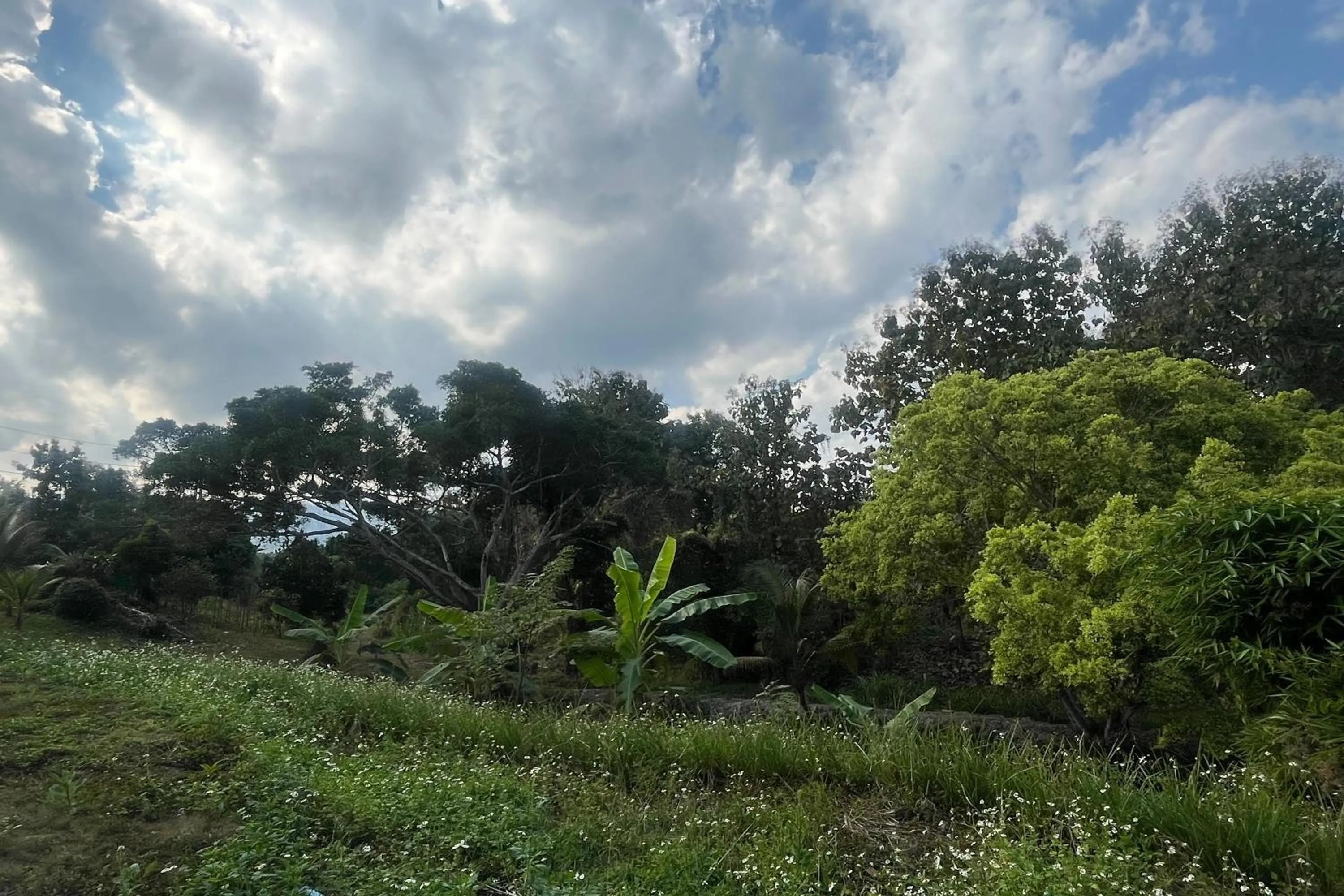 Natural landscape in PAI Hillside Resort