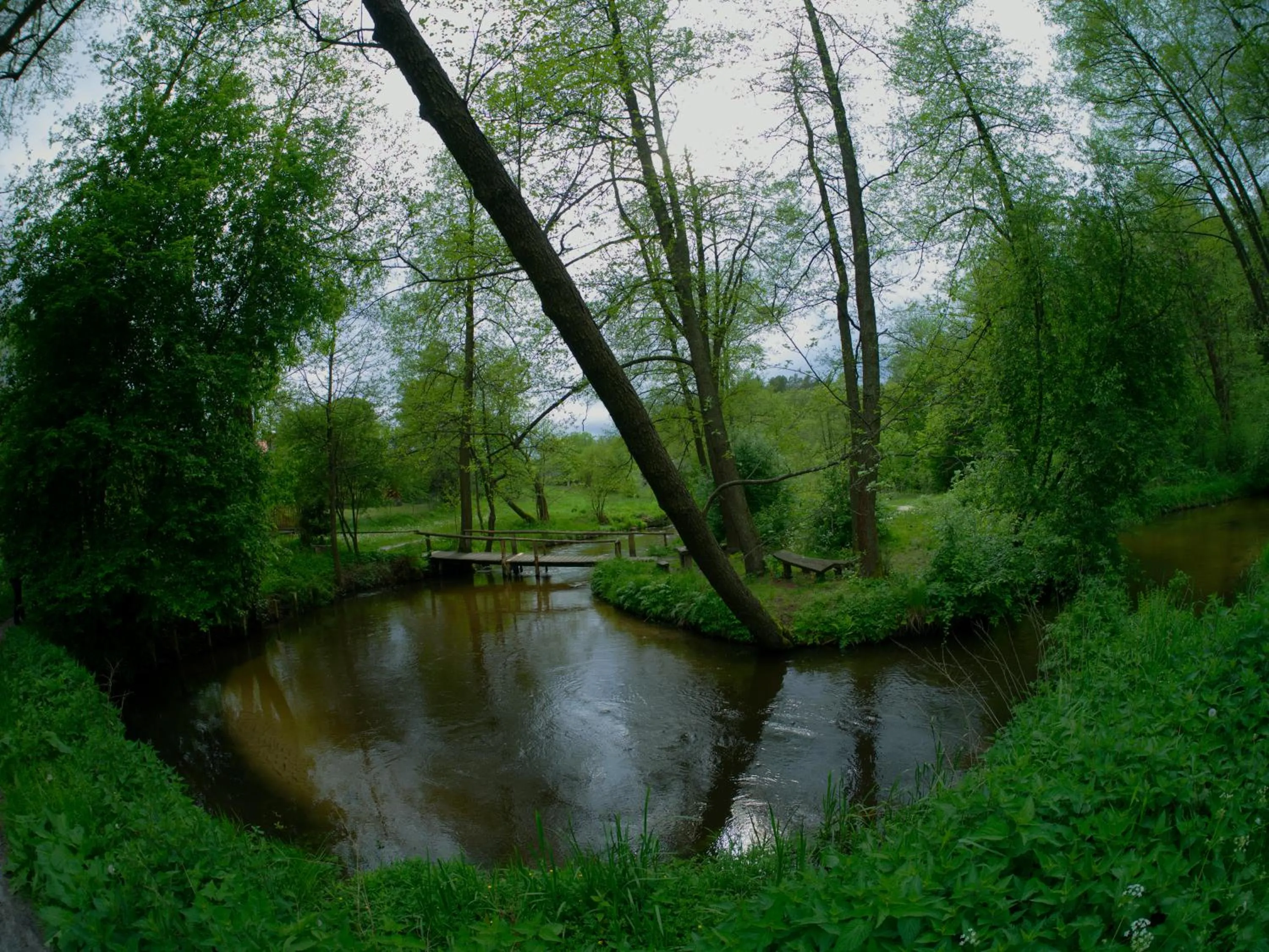Hiking in Gościniec Celina