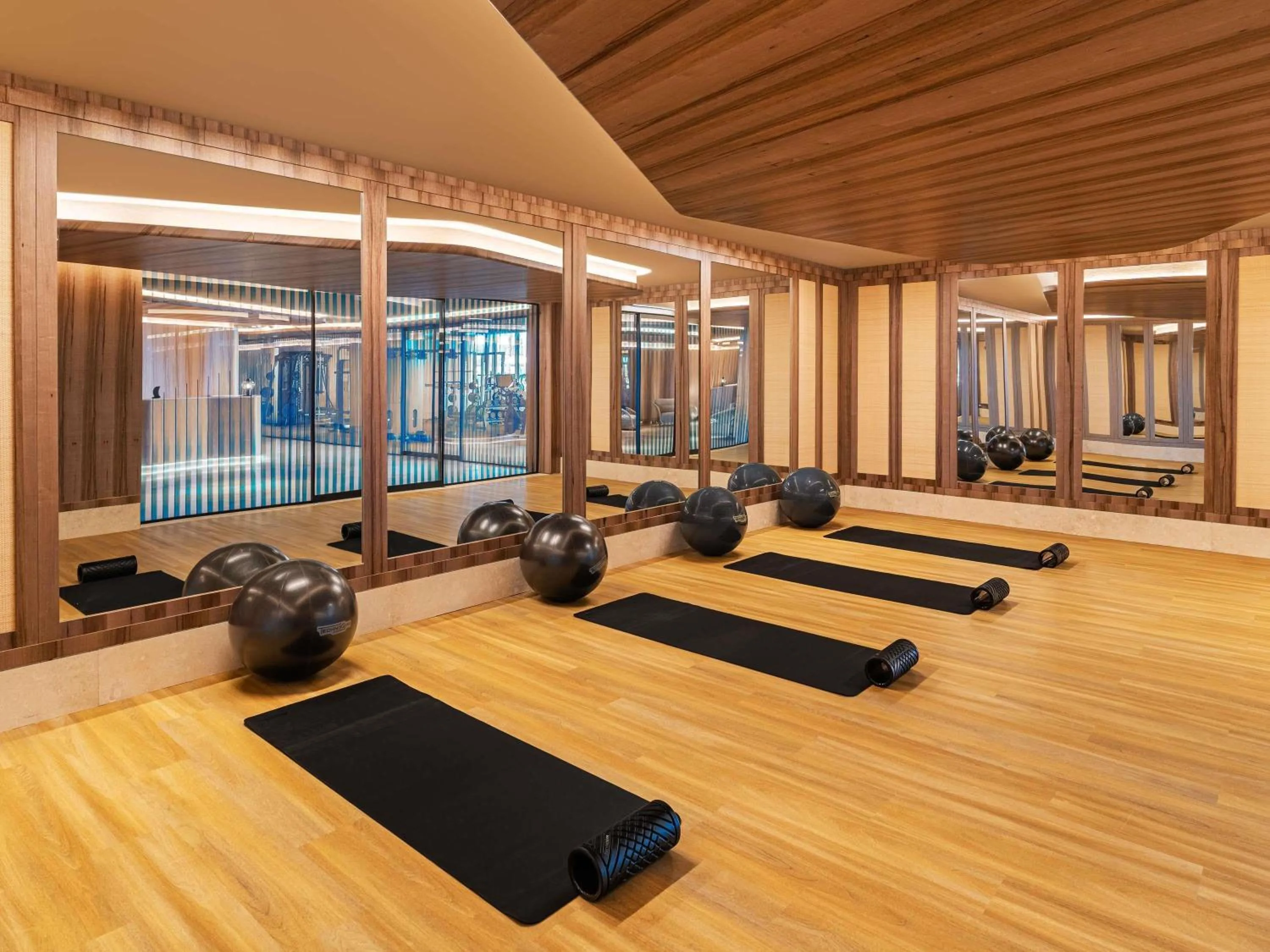 Fitness centre/facilities in Swissotel Resort And Spa Cesme