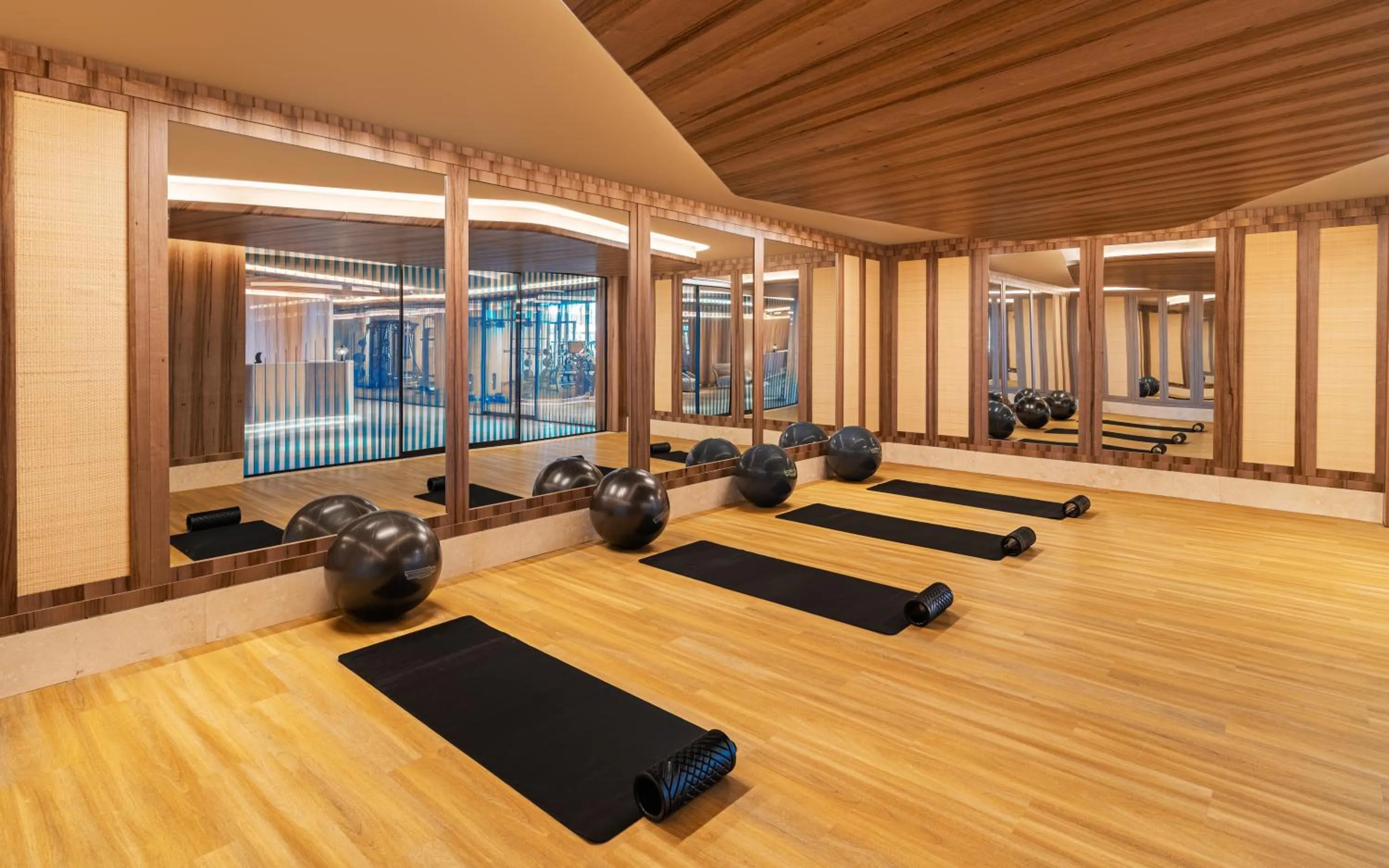 Spa and wellness centre/facilities in Swissotel Resort And Spa Cesme
