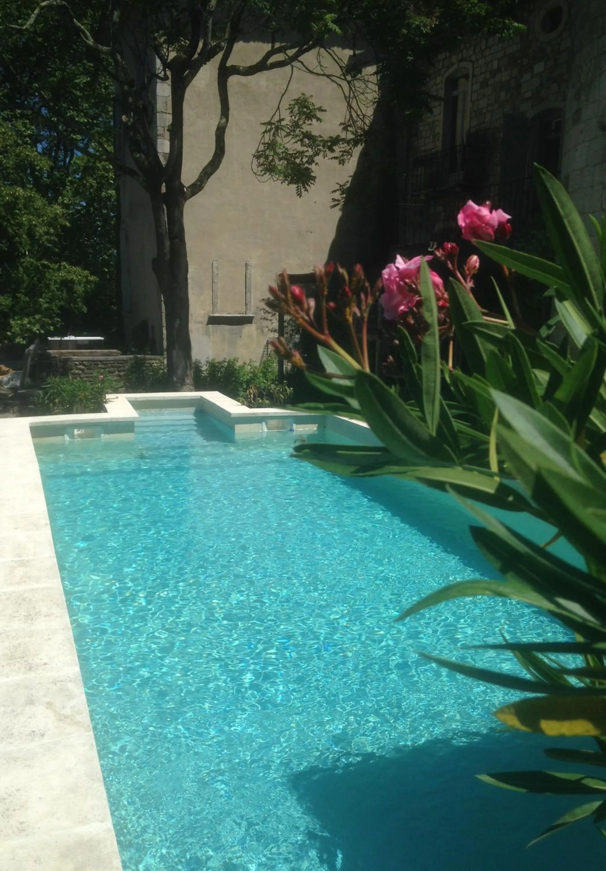 Swimming pool in Chateau de la Bastide
