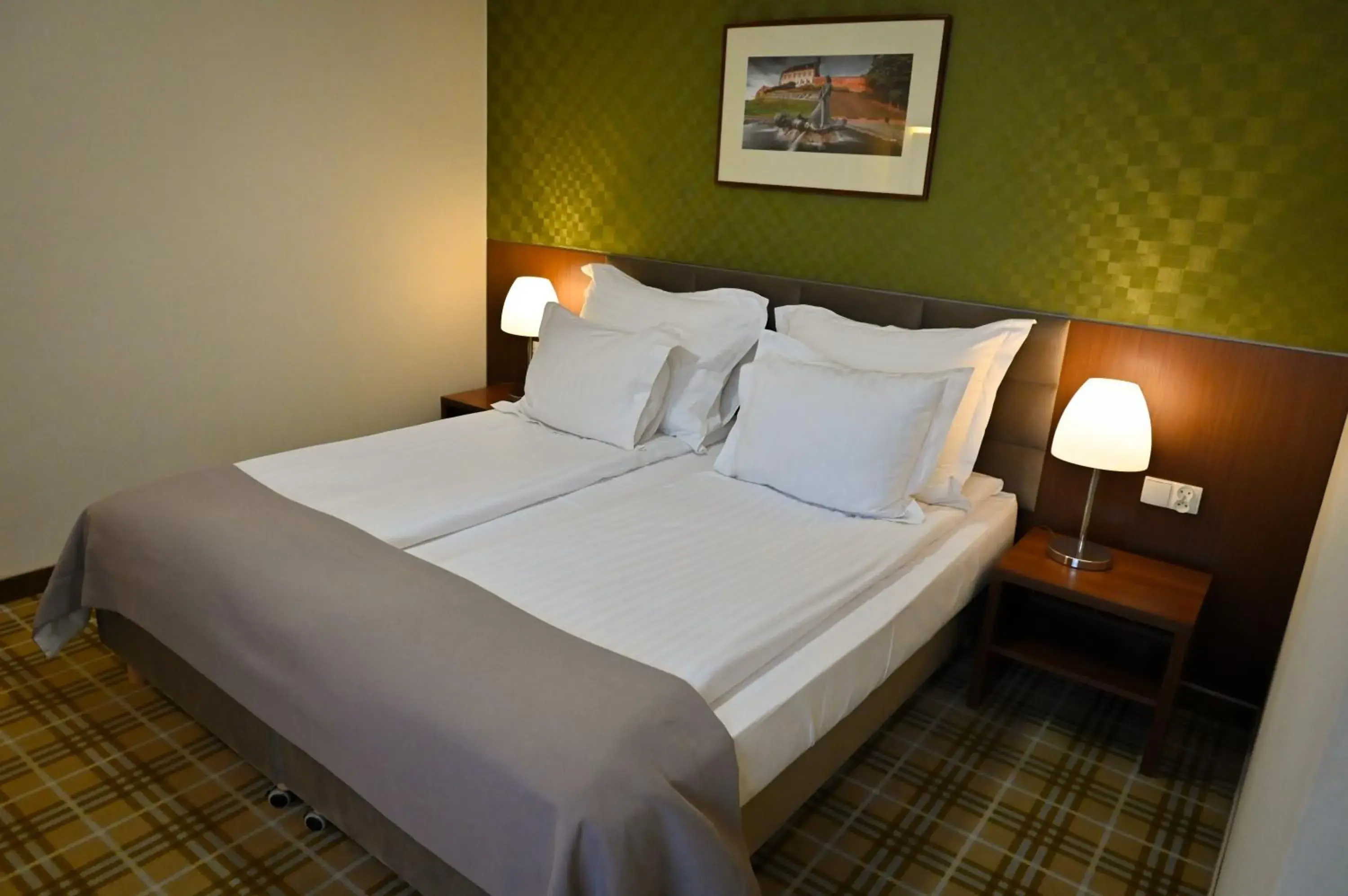 Standard Queen Room in Hotel Rudnik Standard Queen Room in Hotel Rudnik