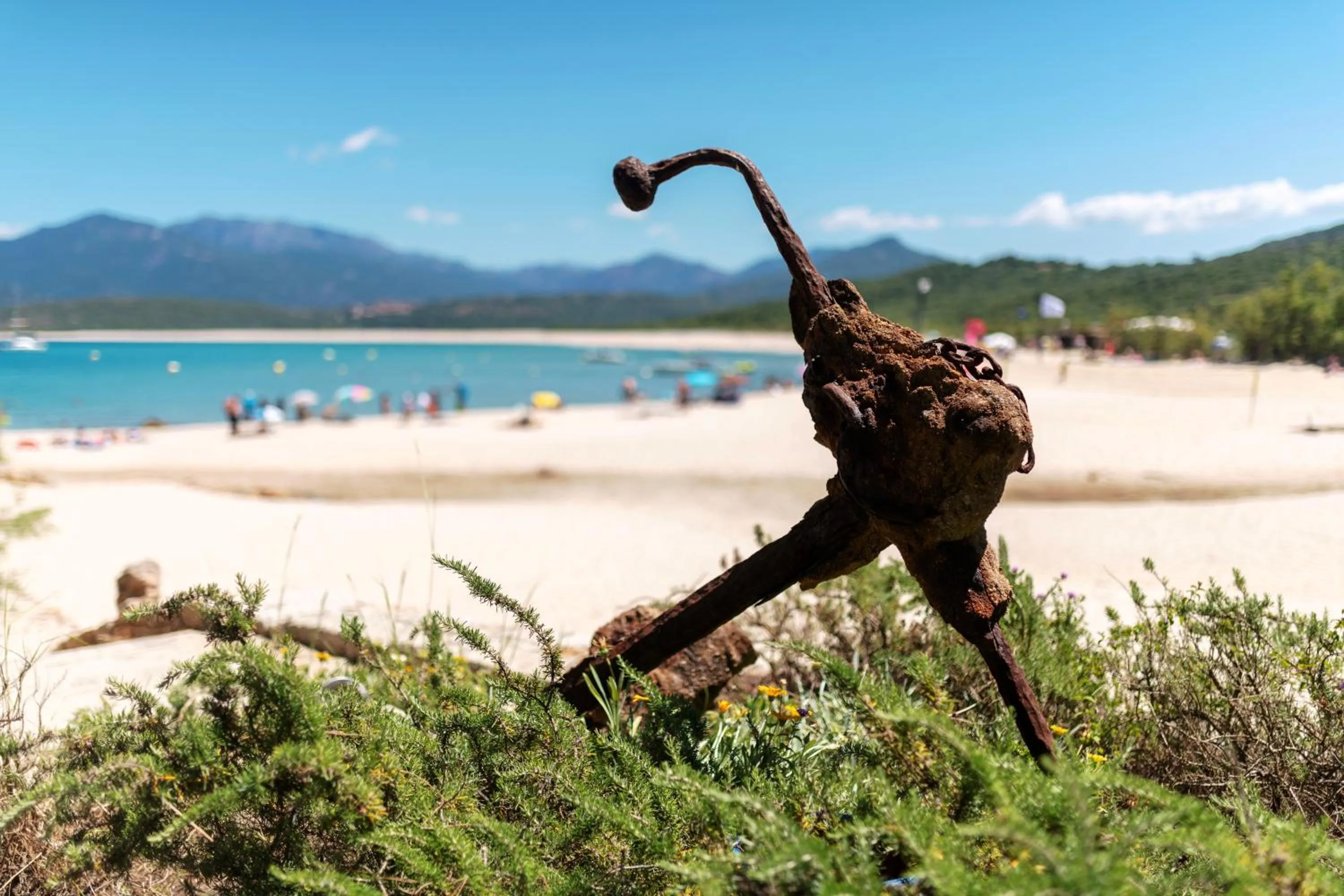 Sea view in Résidence & Hotel U Livanti ECOLABEL