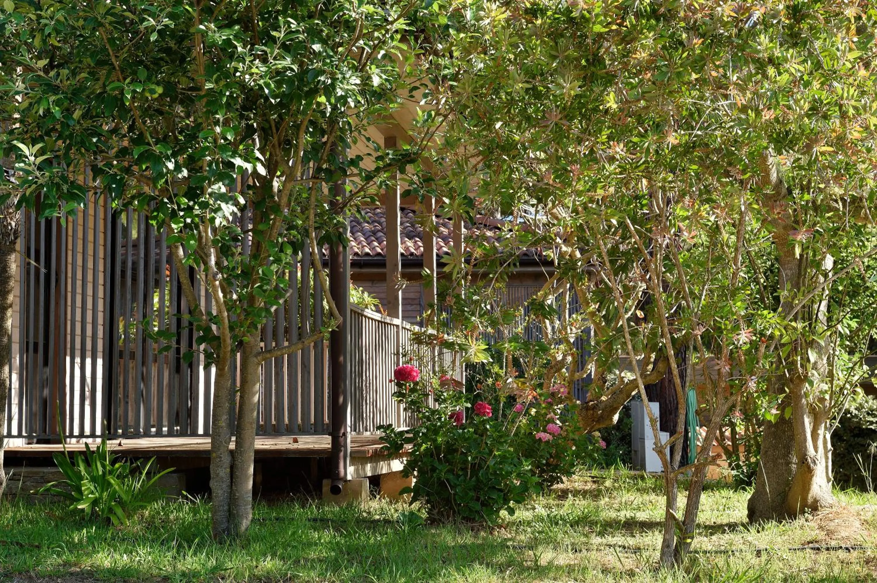 Patio in Résidence & Hotel U Livanti ECOLABEL