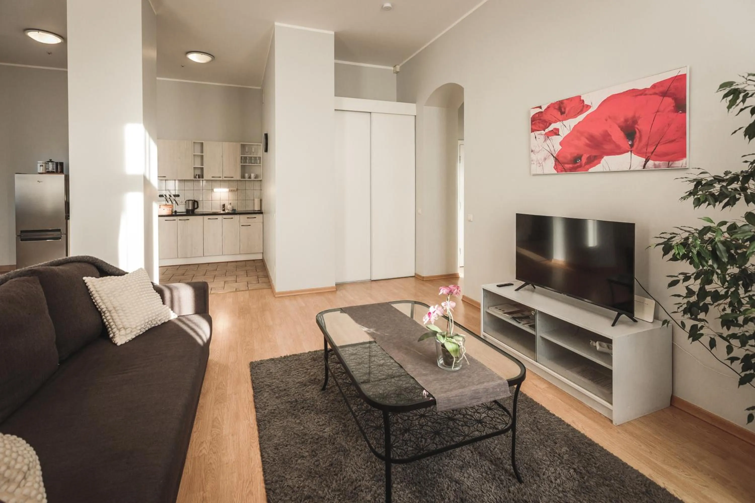 TV and multimedia in Bearsleys Downtown Apartments