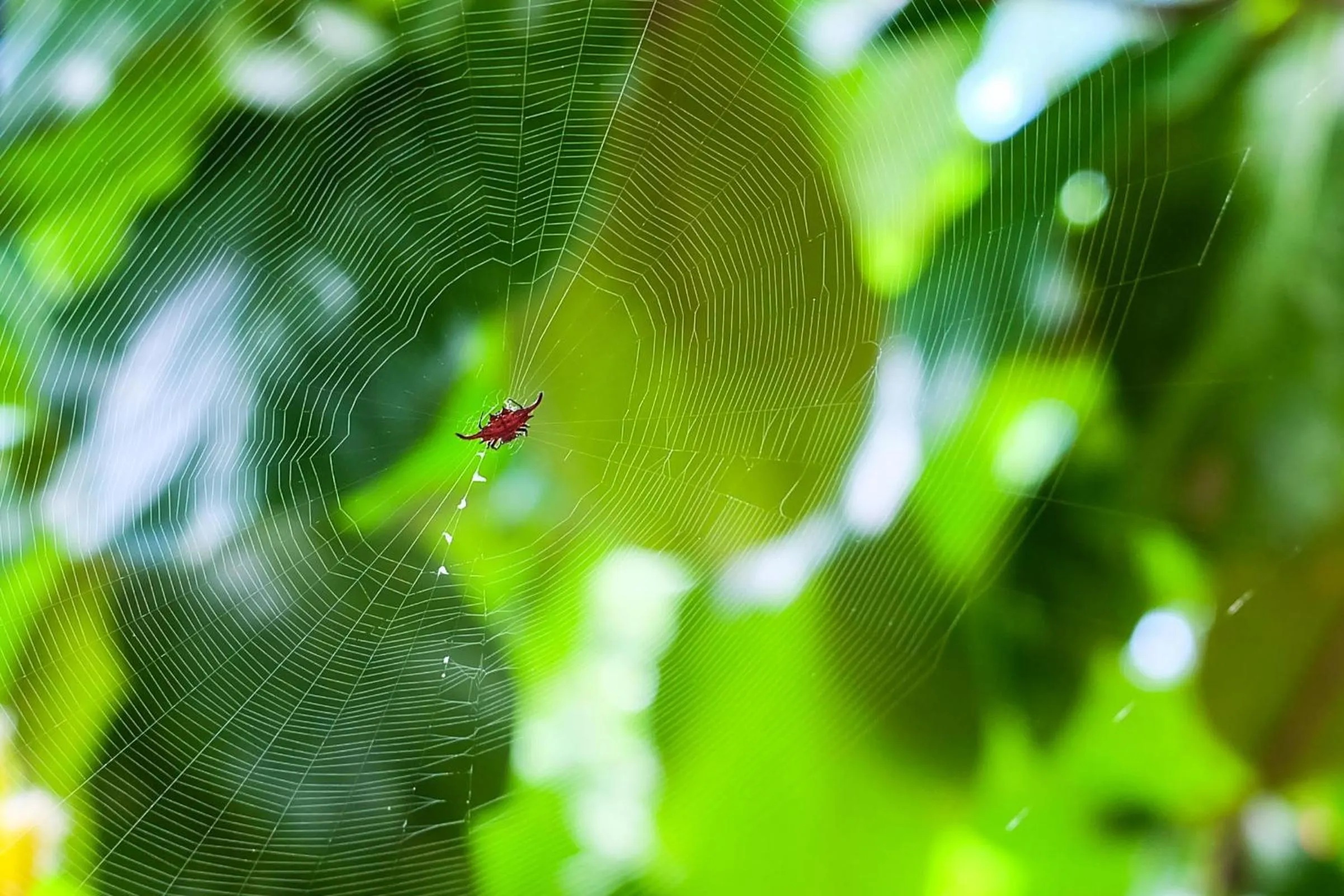 Natural landscape in Seasons Lodge Zanzibar