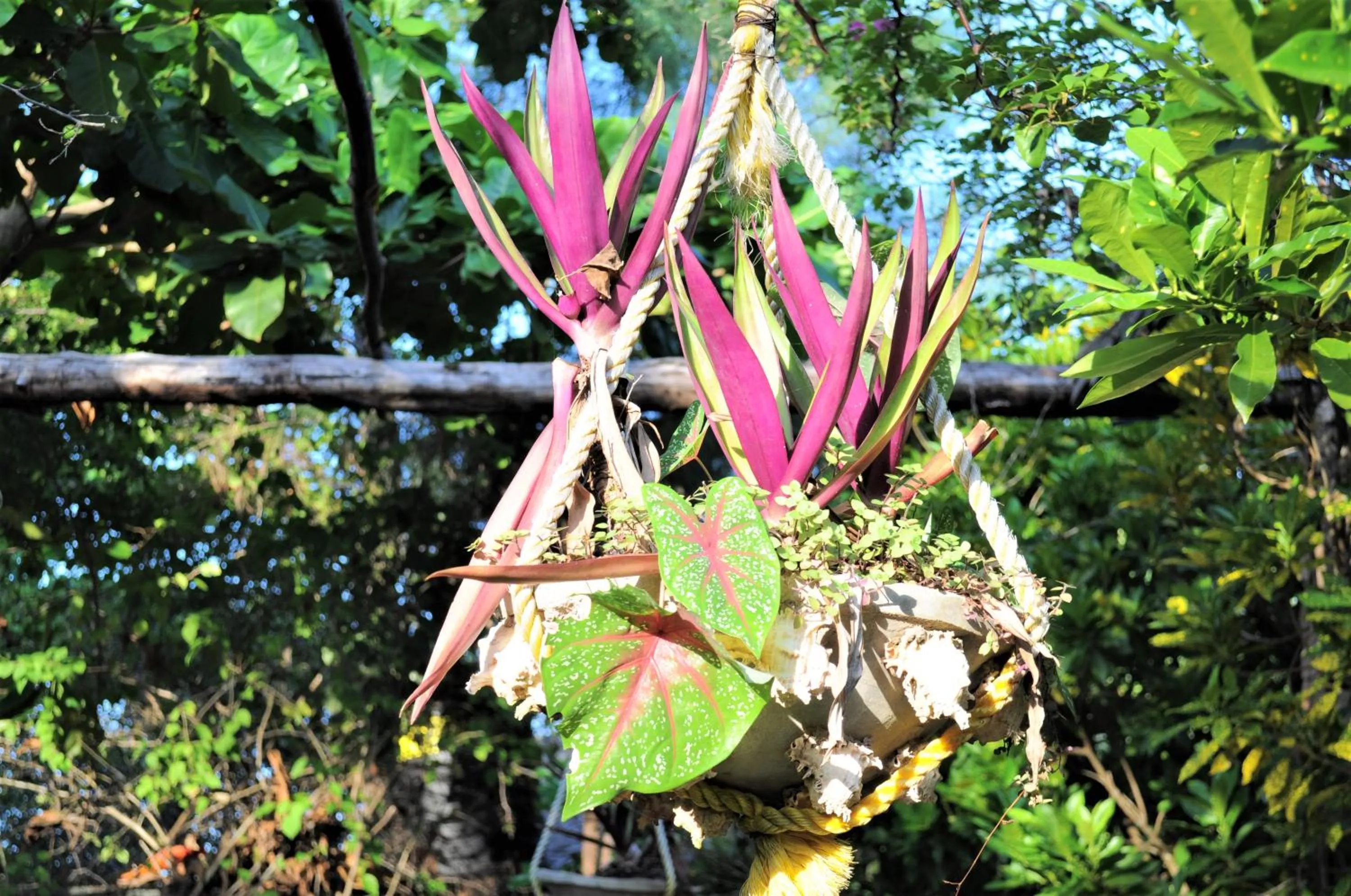 Garden in Seasons Lodge Zanzibar
