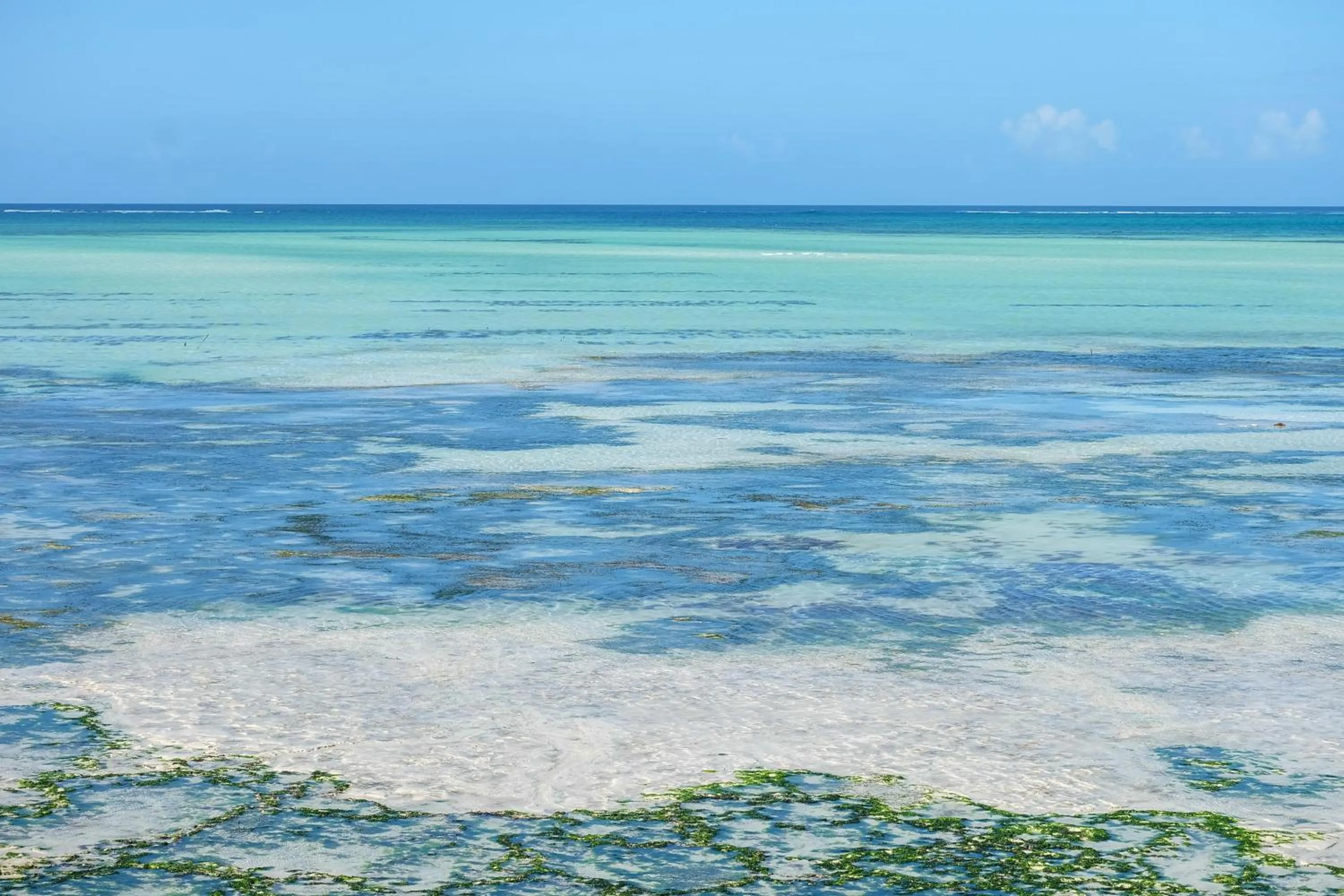 Natural landscape in Seasons Lodge Zanzibar