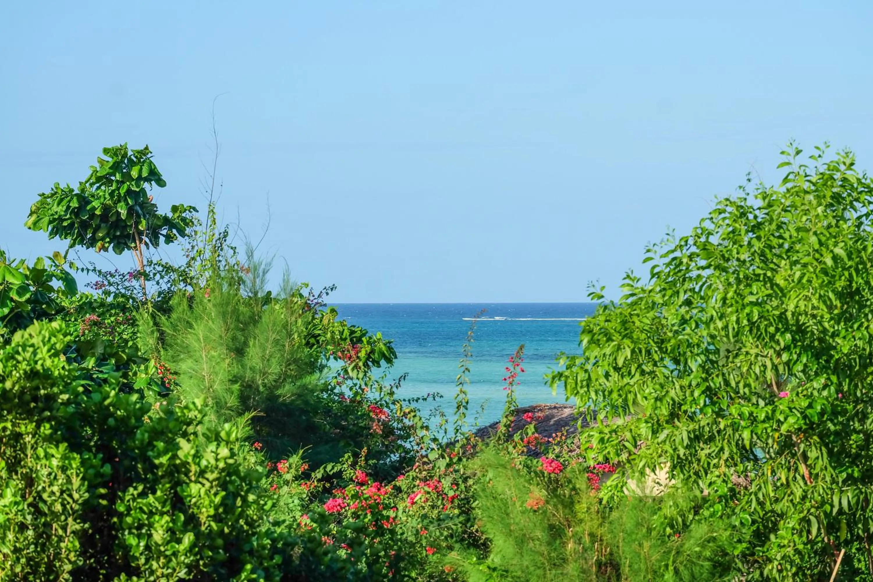 Natural landscape in Seasons Lodge Zanzibar