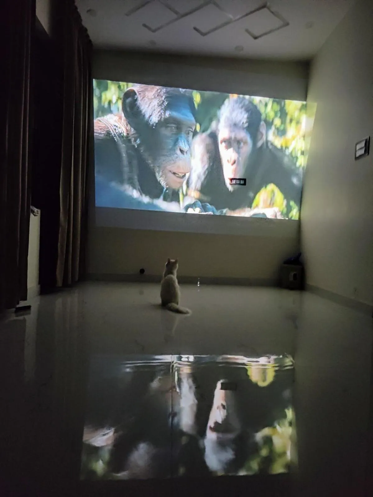 Luxurious & Elegant 1BHK Retreat