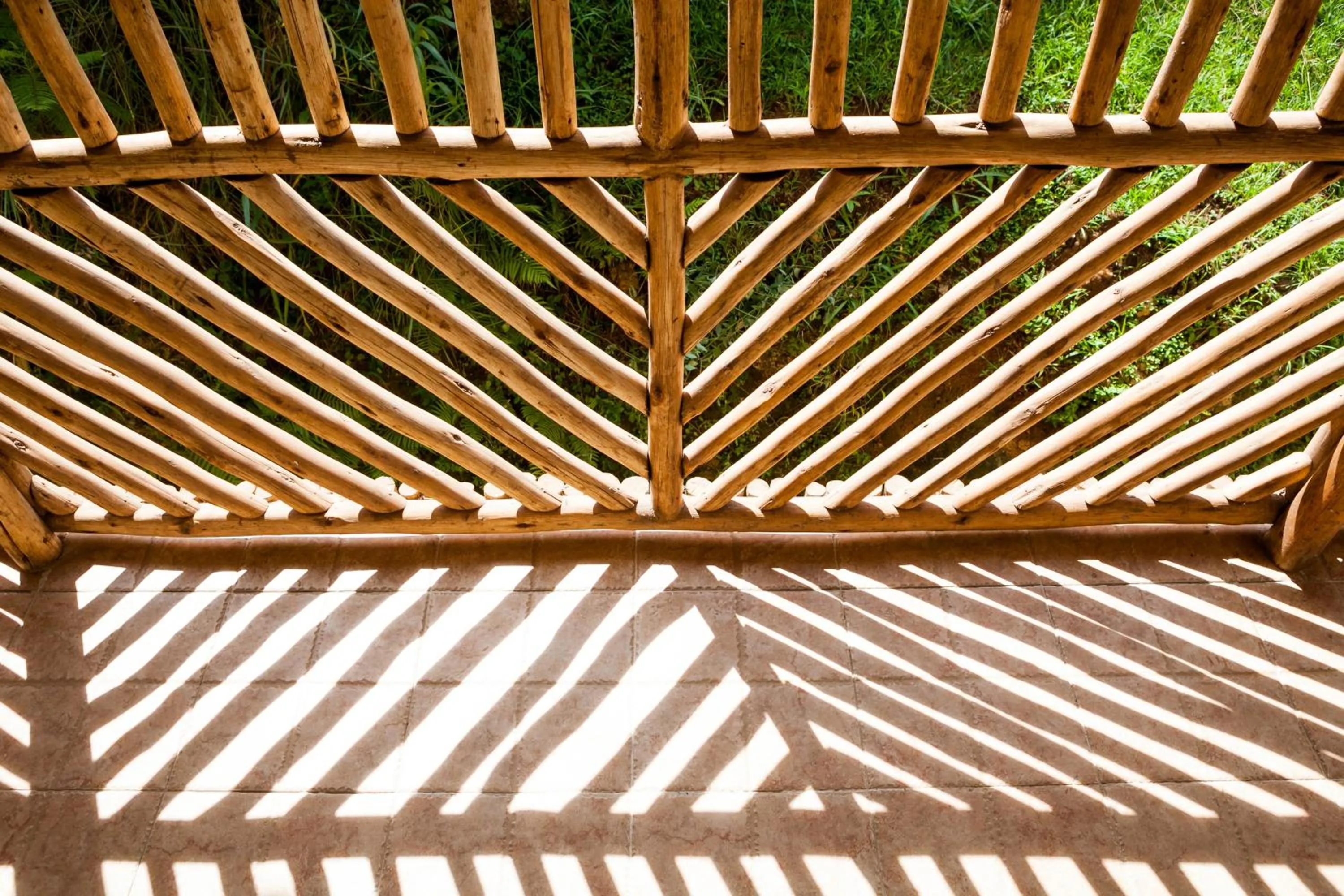 View (from property/room) in Cassia Lodge