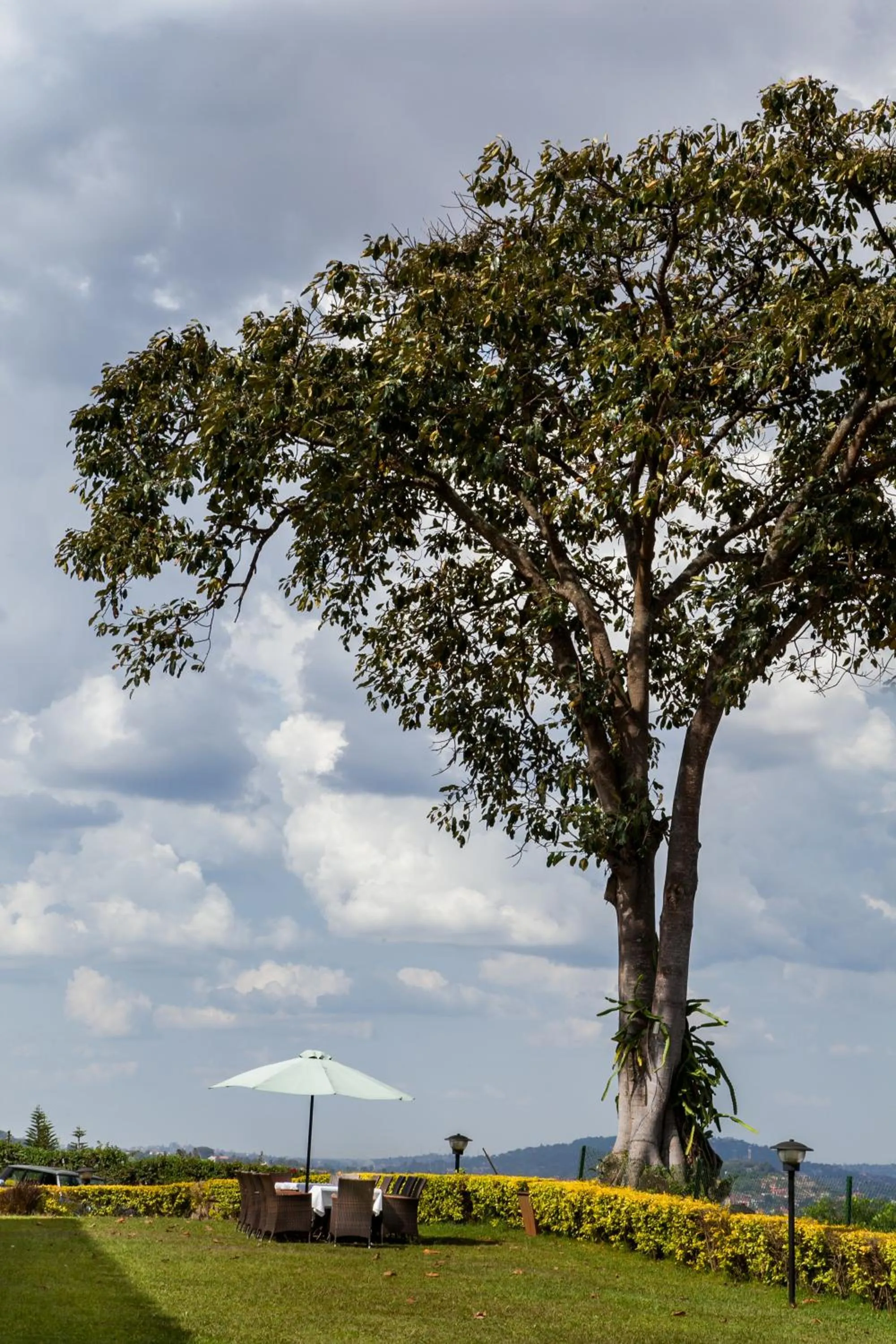 Garden in Cassia Lodge