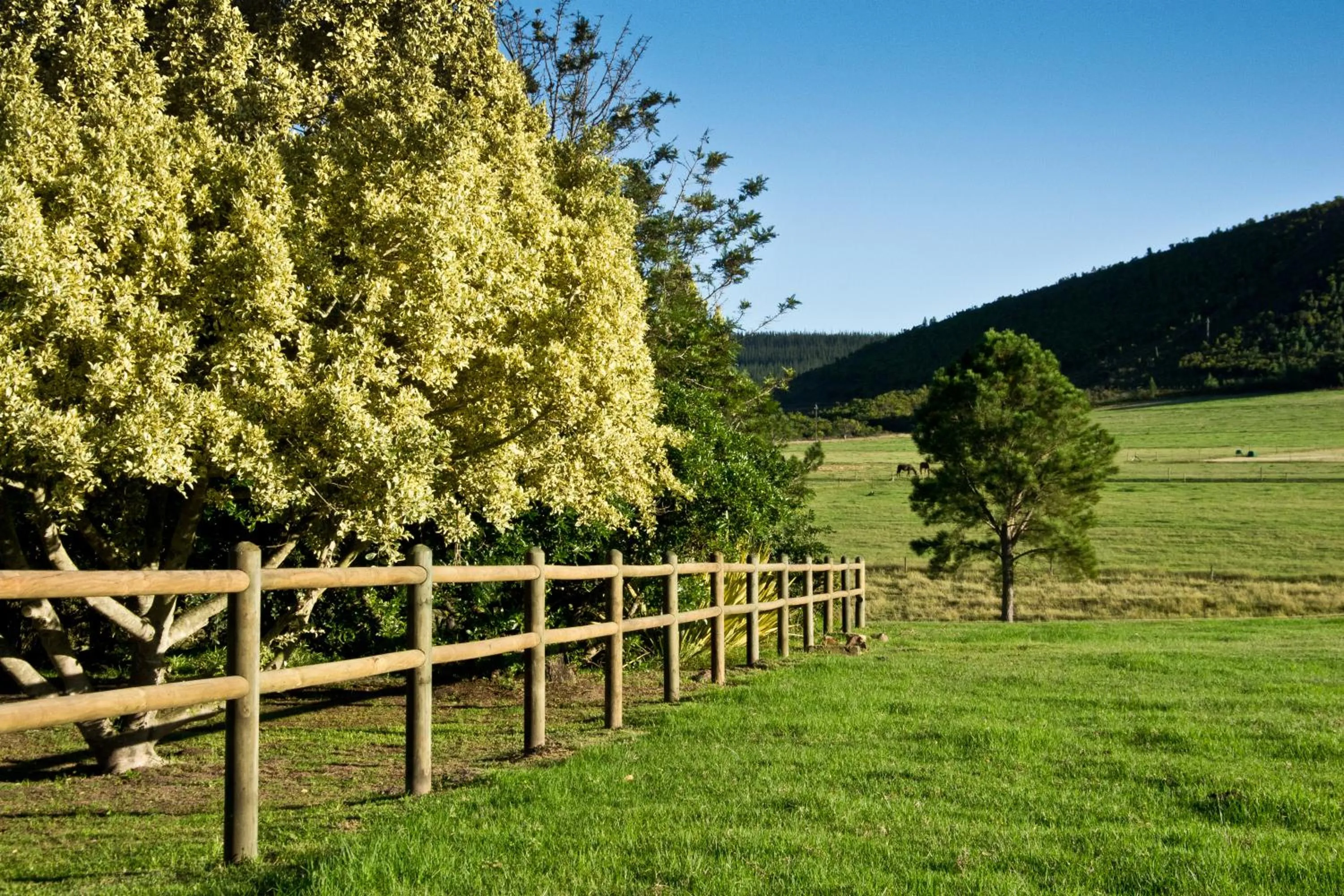 Kay and Monty Vineyard View
