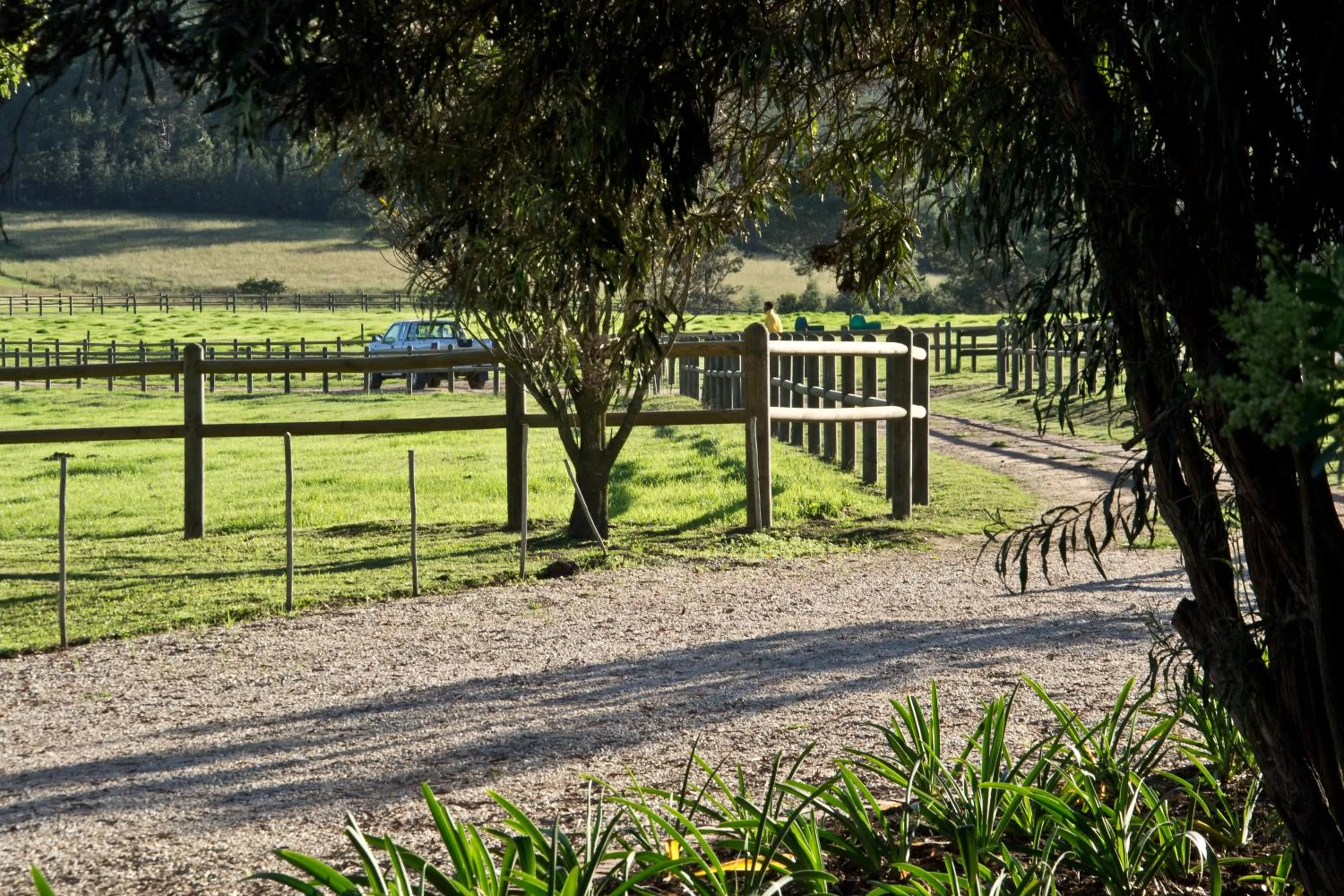 Kay and Monty Vineyard View