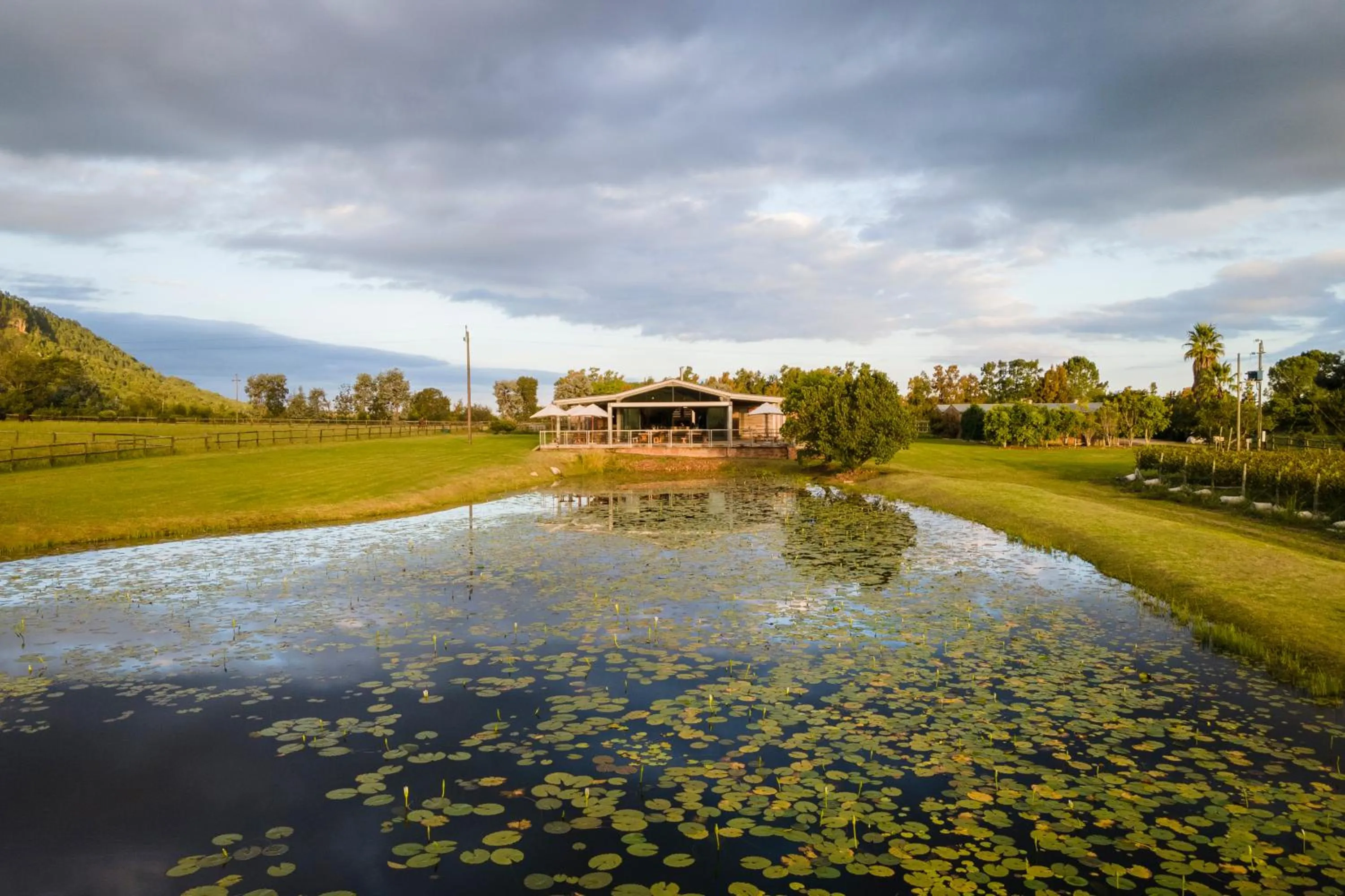 Restaurant/places to eat in Kay and Monty Vineyard View