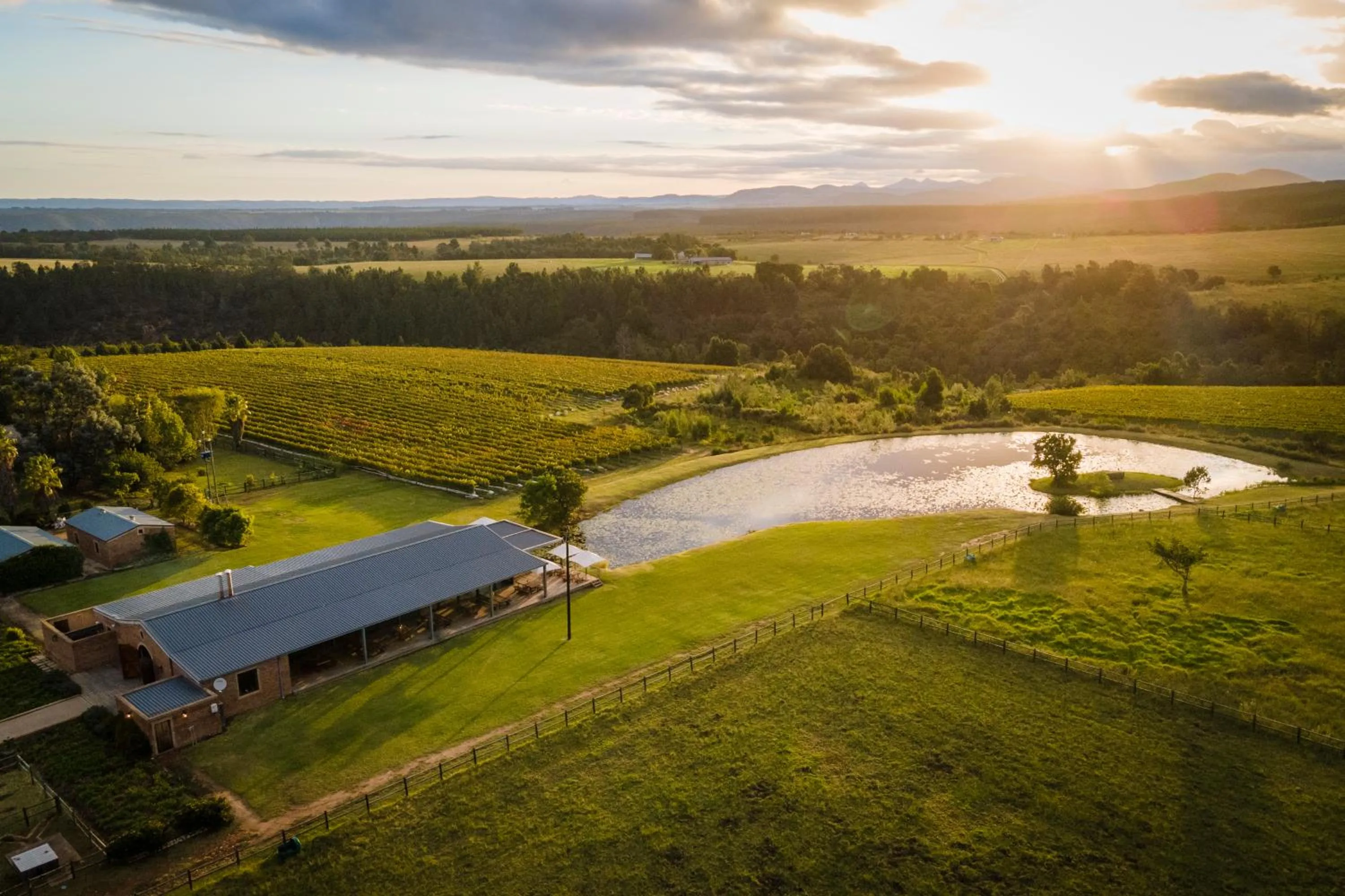 Natural landscape in Kay and Monty Vineyard View