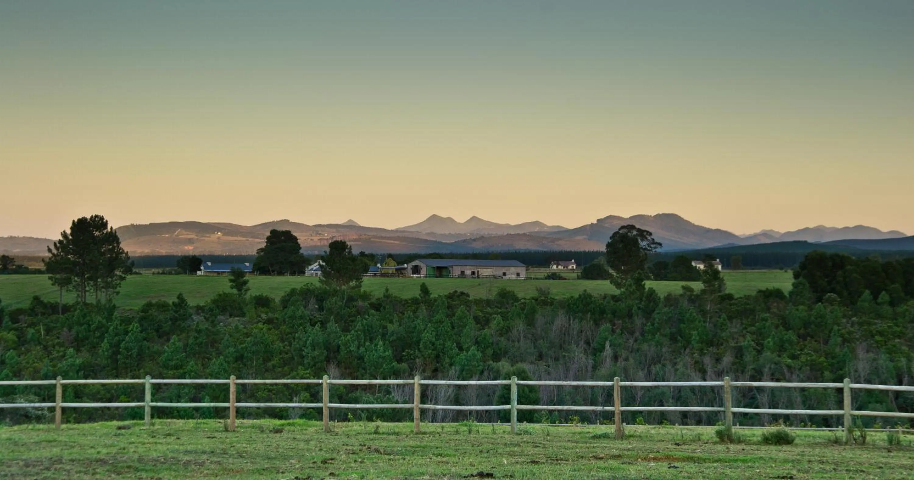 Kay and Monty Vineyard View
