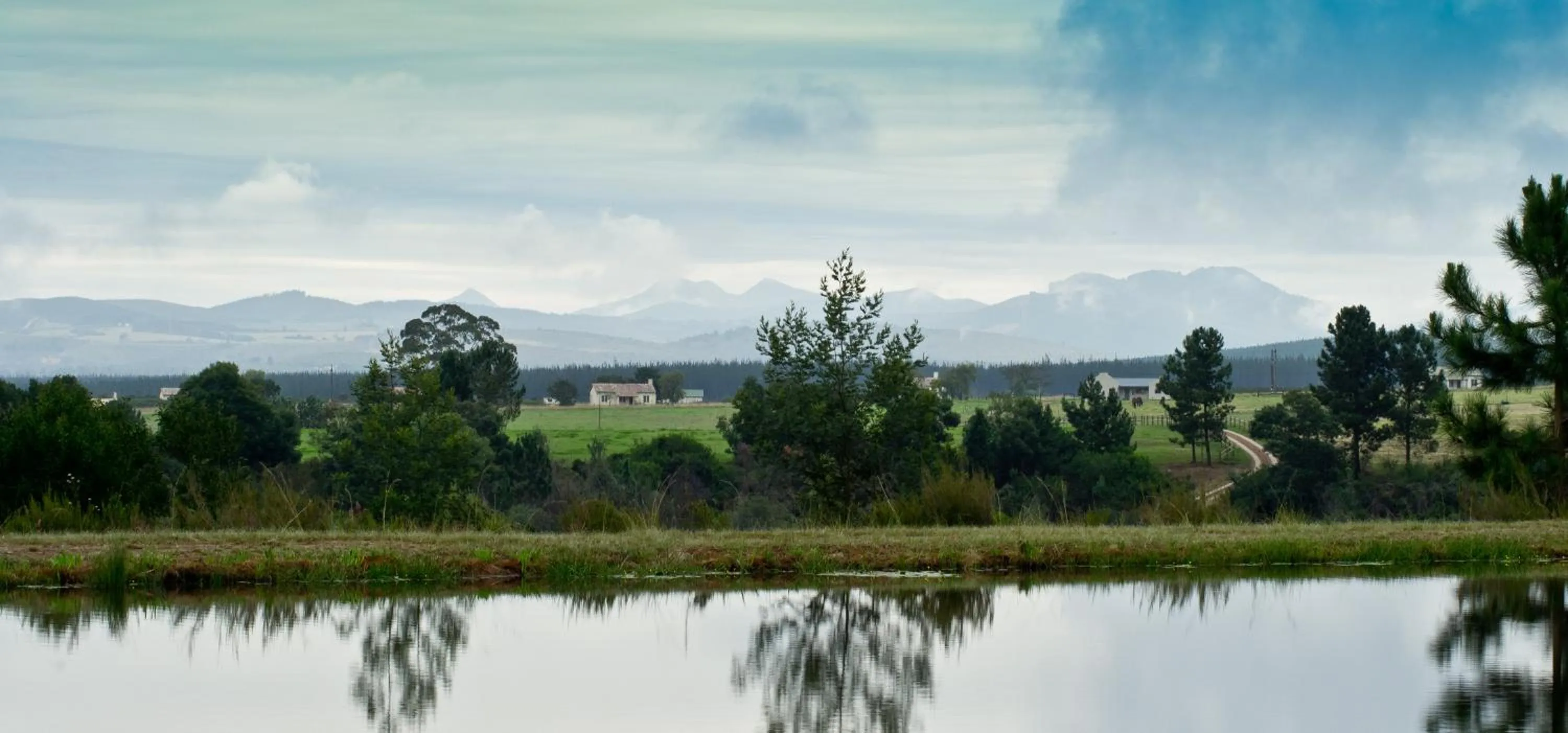 Kay and Monty Vineyard View