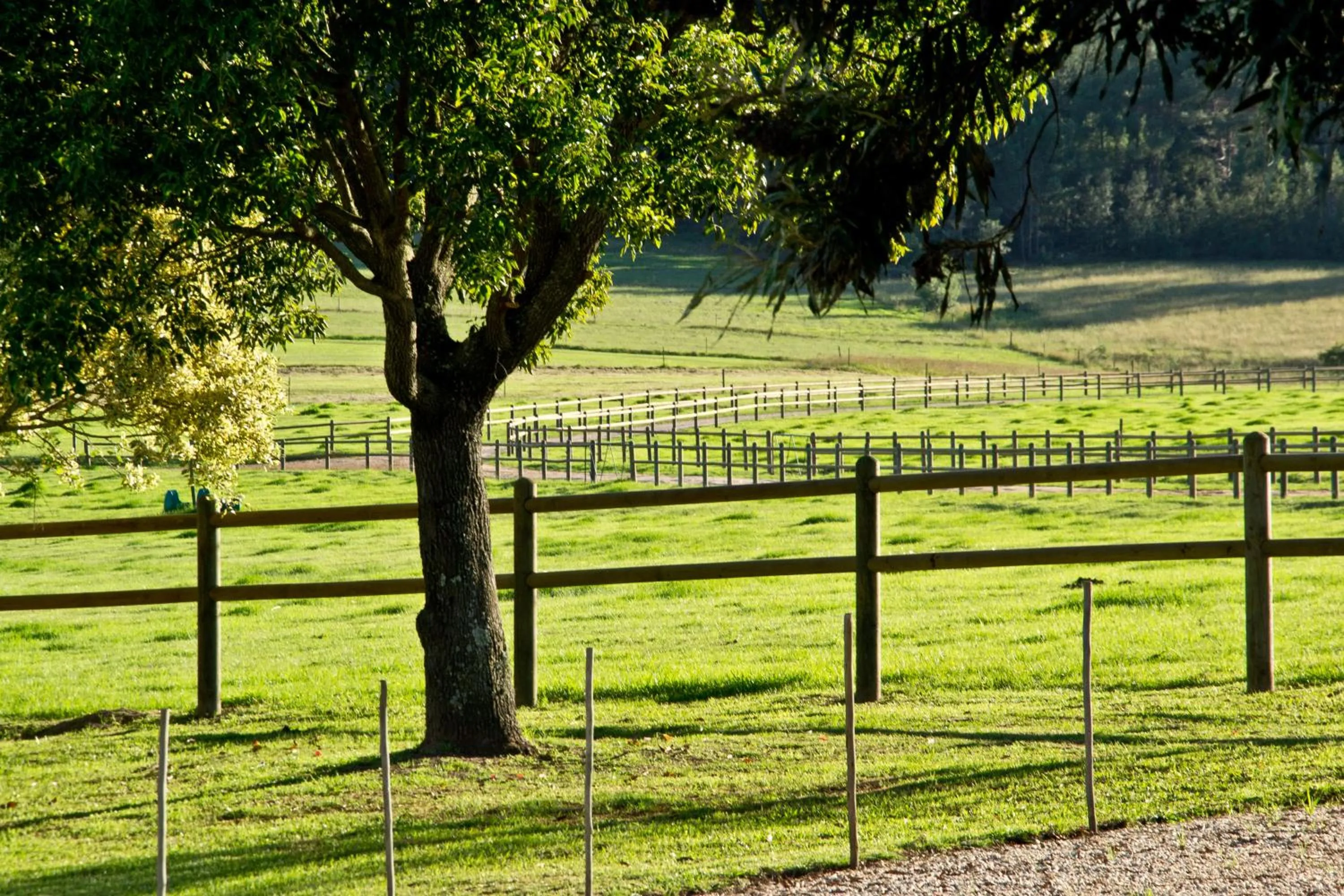 Kay and Monty Vineyard View