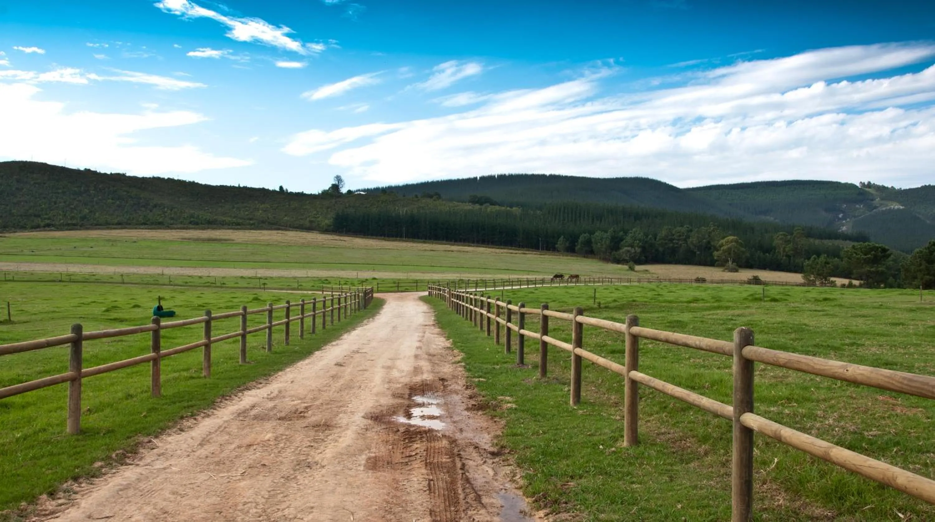 Kay and Monty Vineyard View