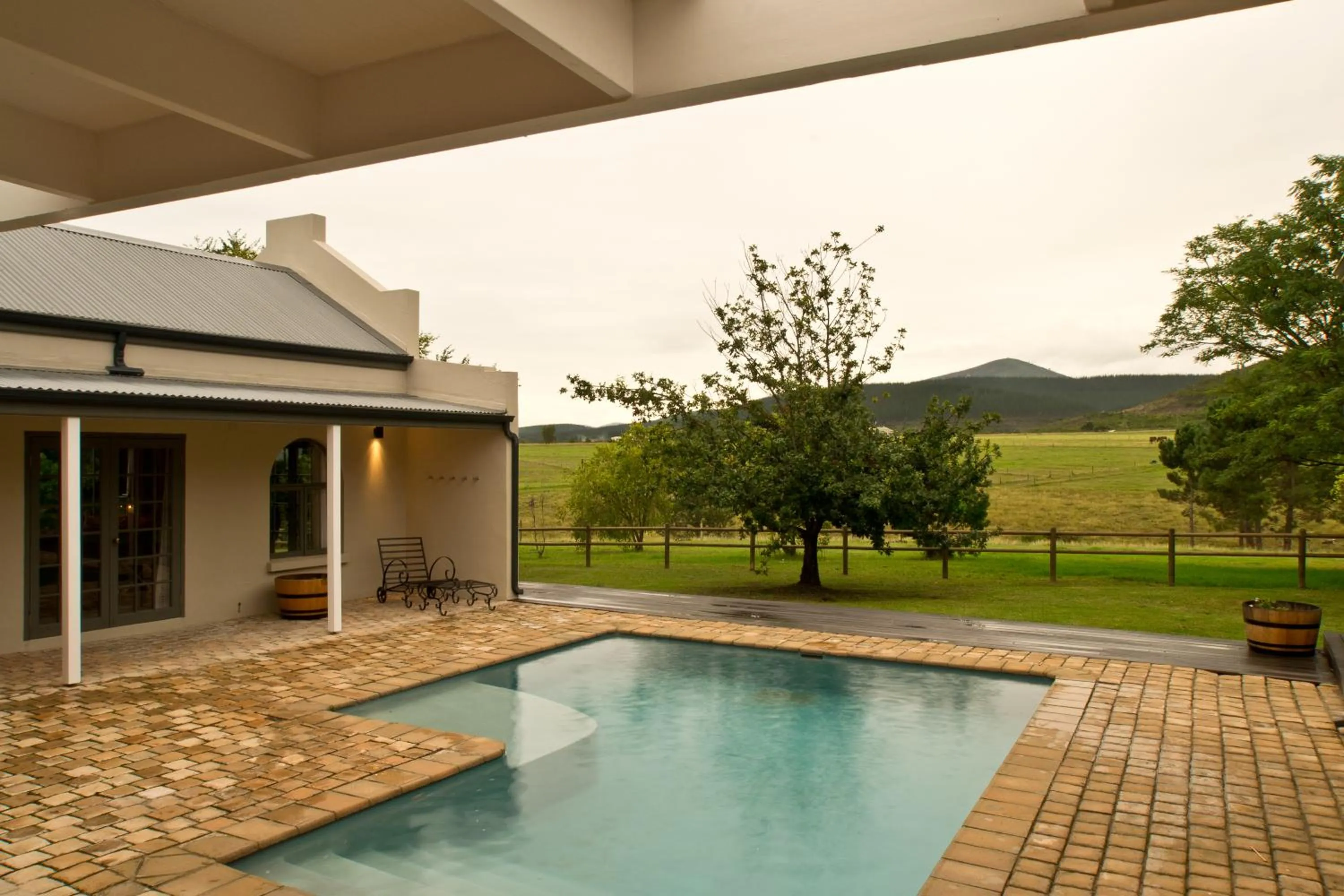 Natural landscape in Kay and Monty Vineyard View