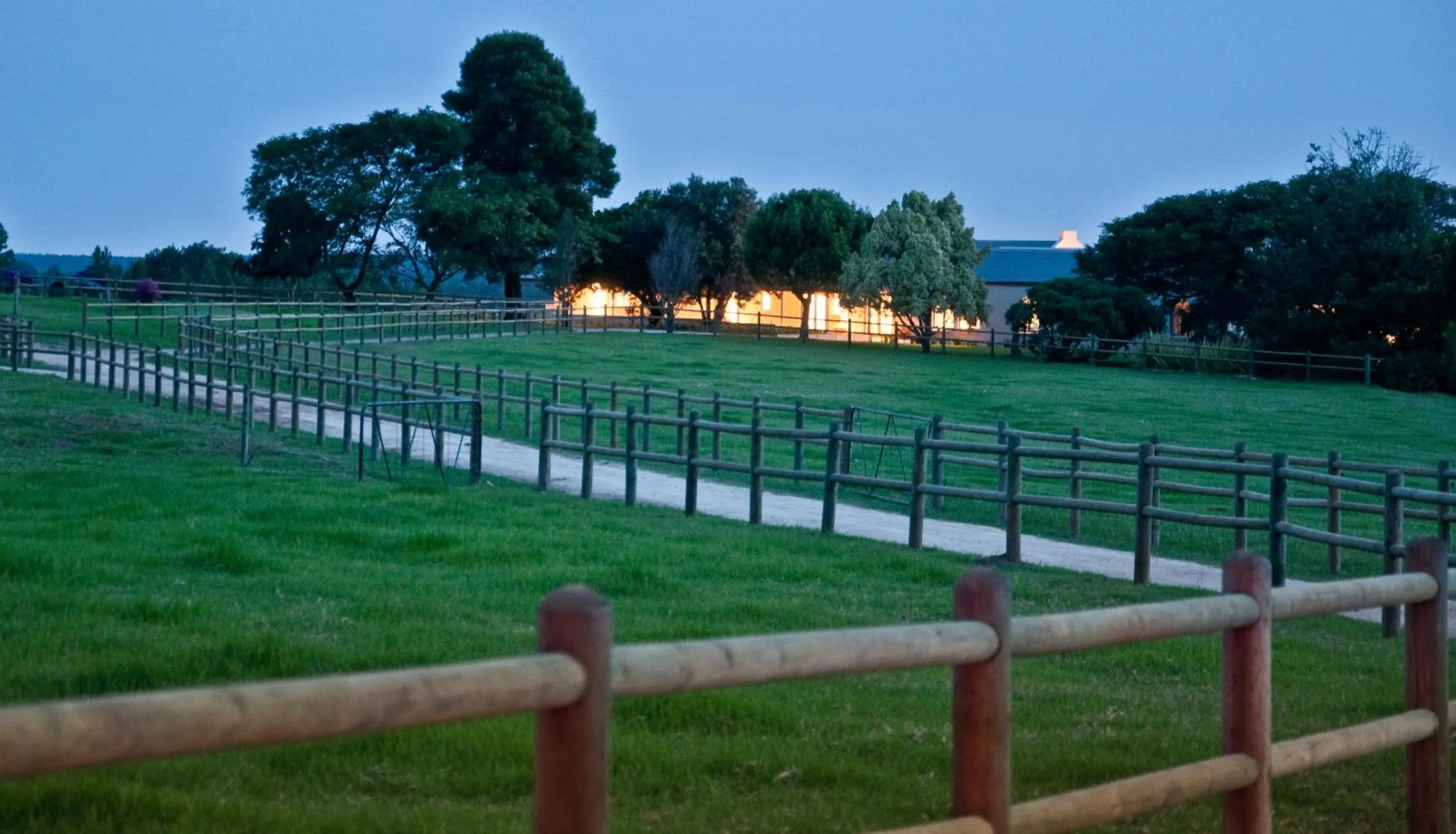 Natural landscape in Kay and Monty Vineyard View