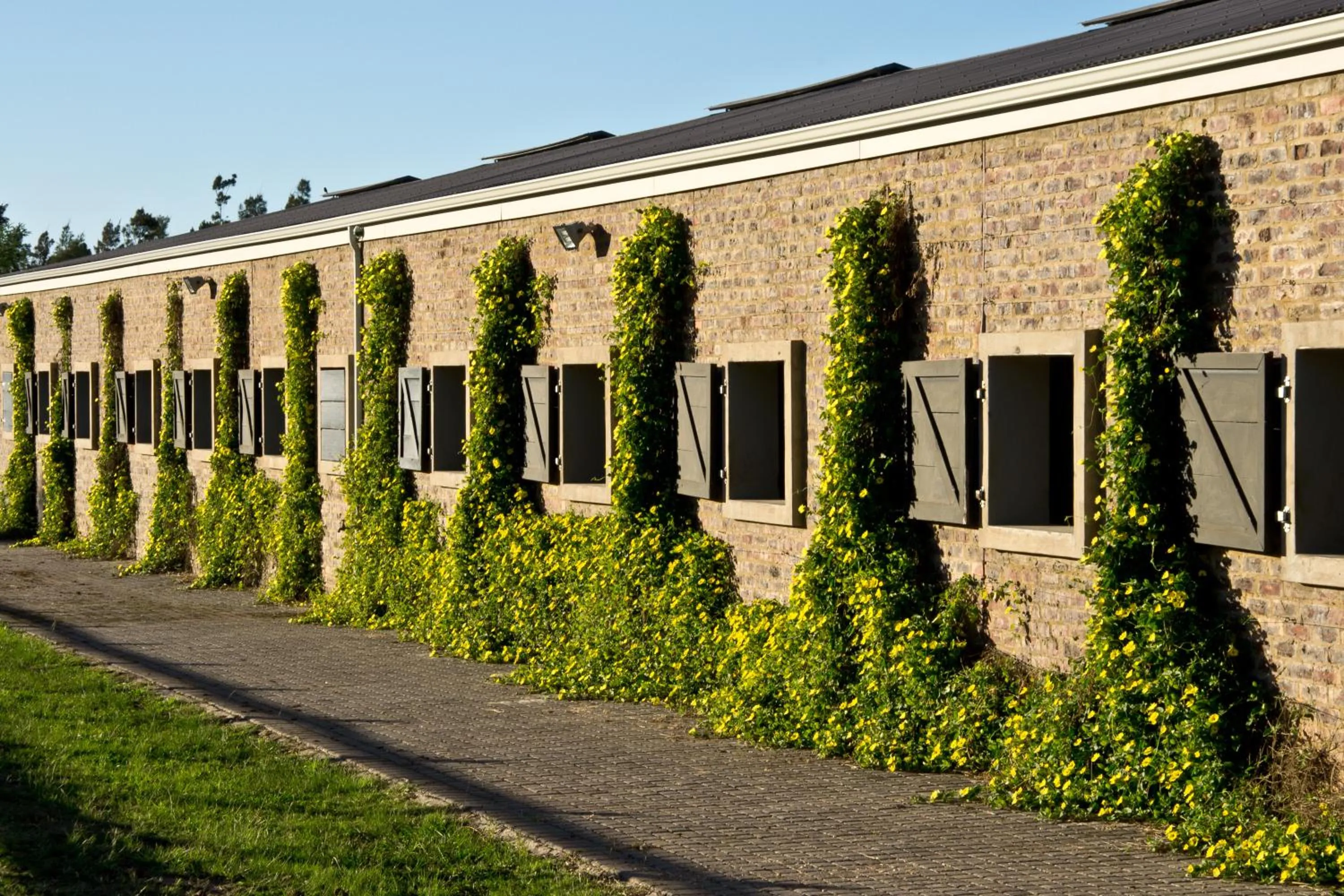 Facade/entrance in Kay and Monty Vineyard View