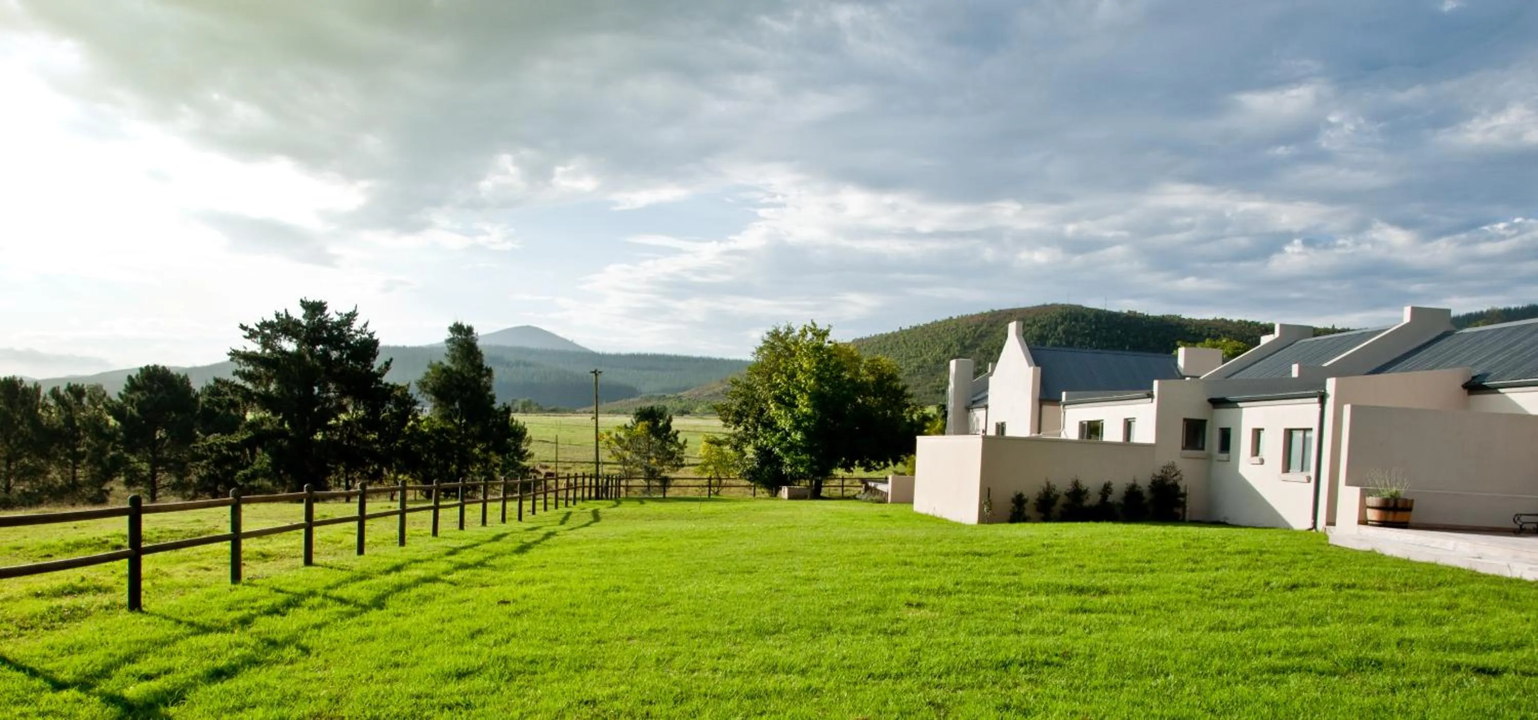 Natural landscape in Kay and Monty Vineyard View