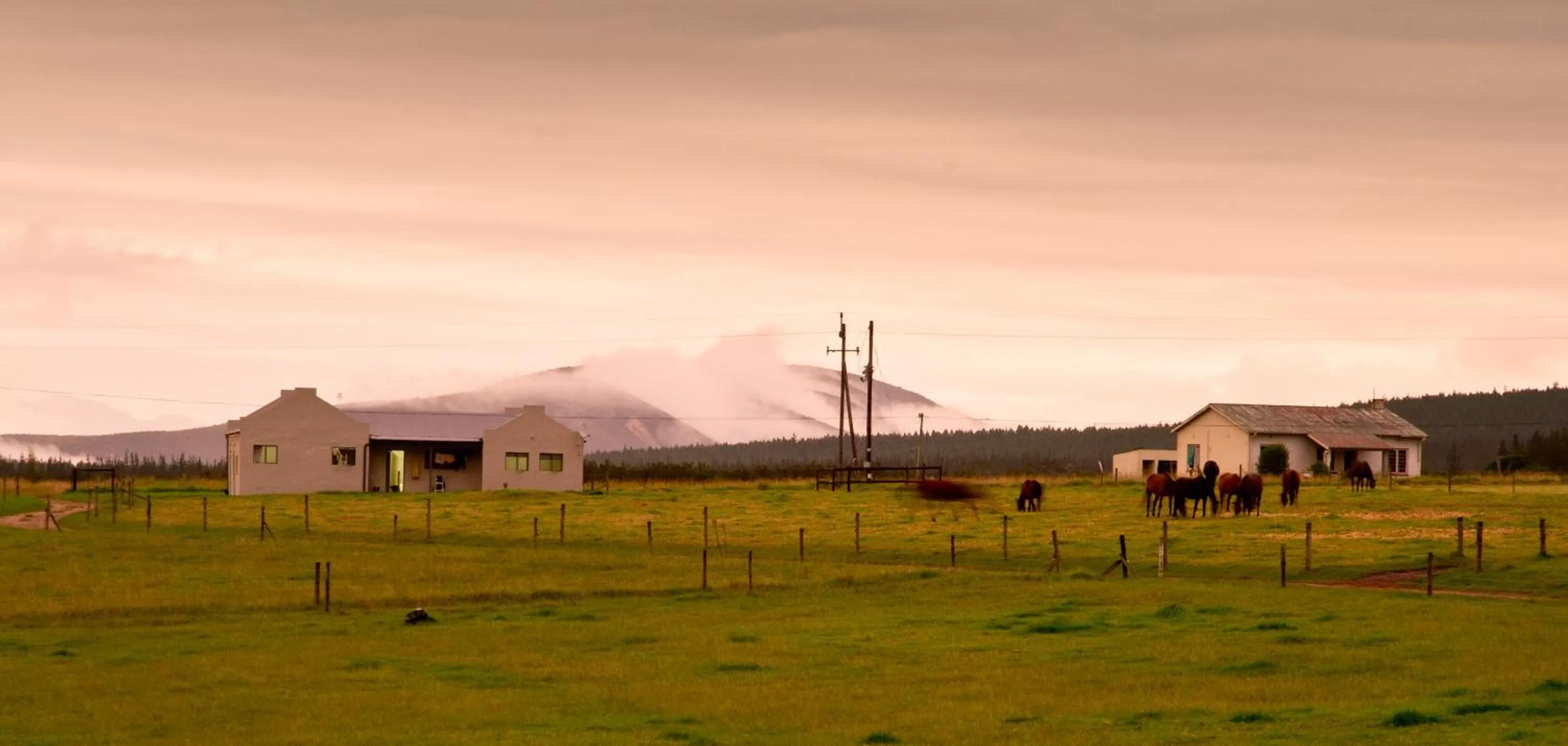 Kay and Monty Vineyard View