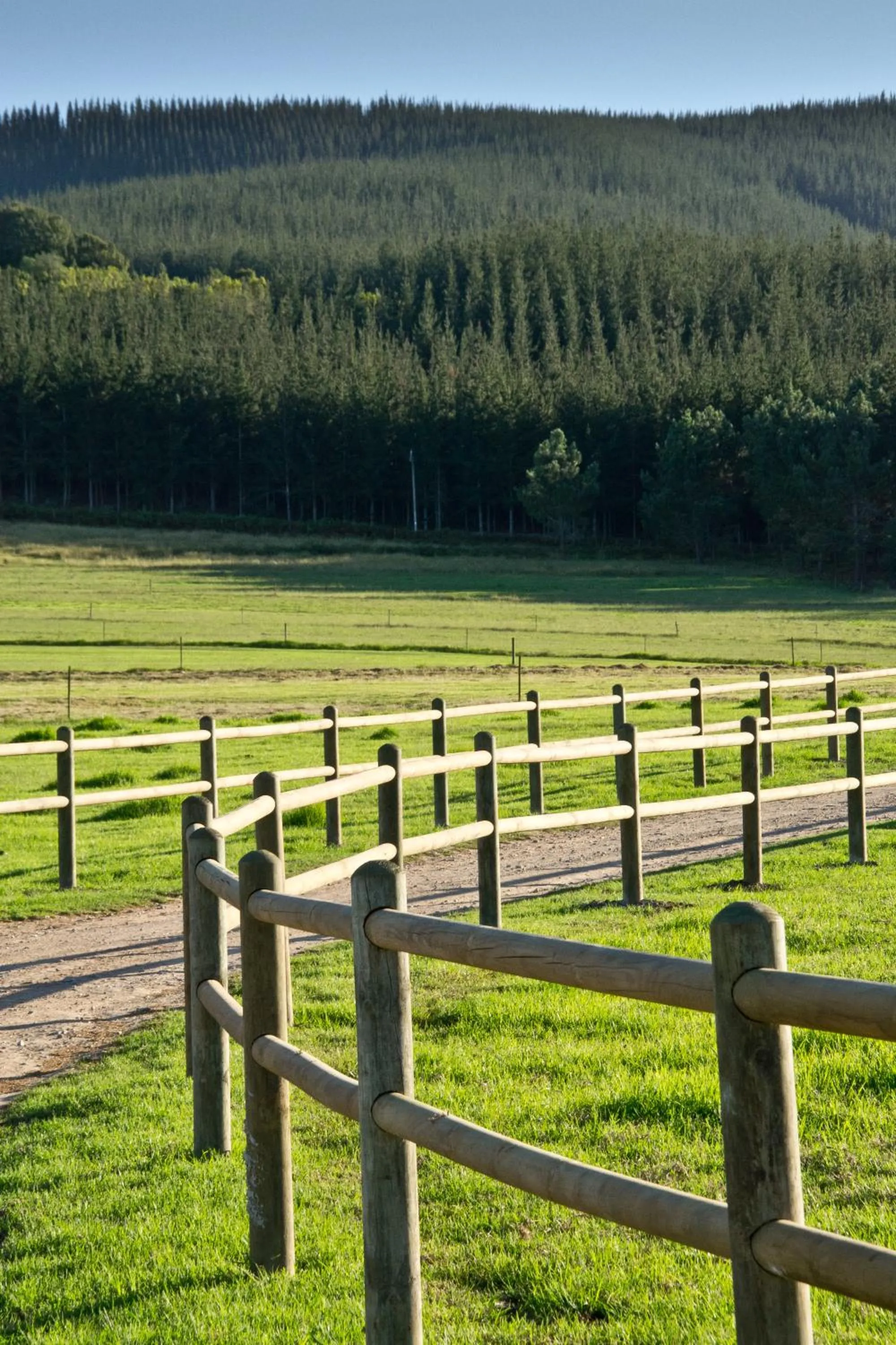 Kay and Monty Vineyard View