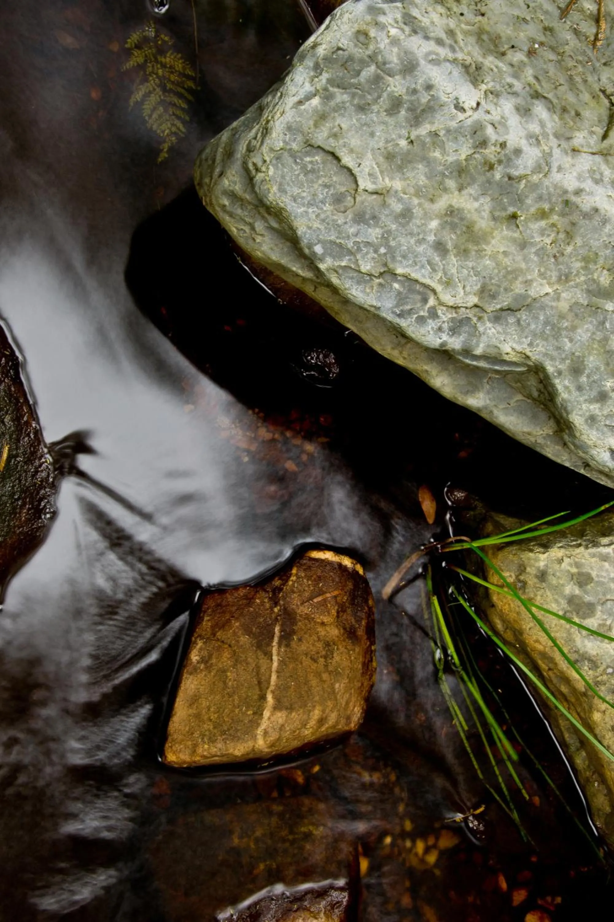 Kay and Monty Vineyard View