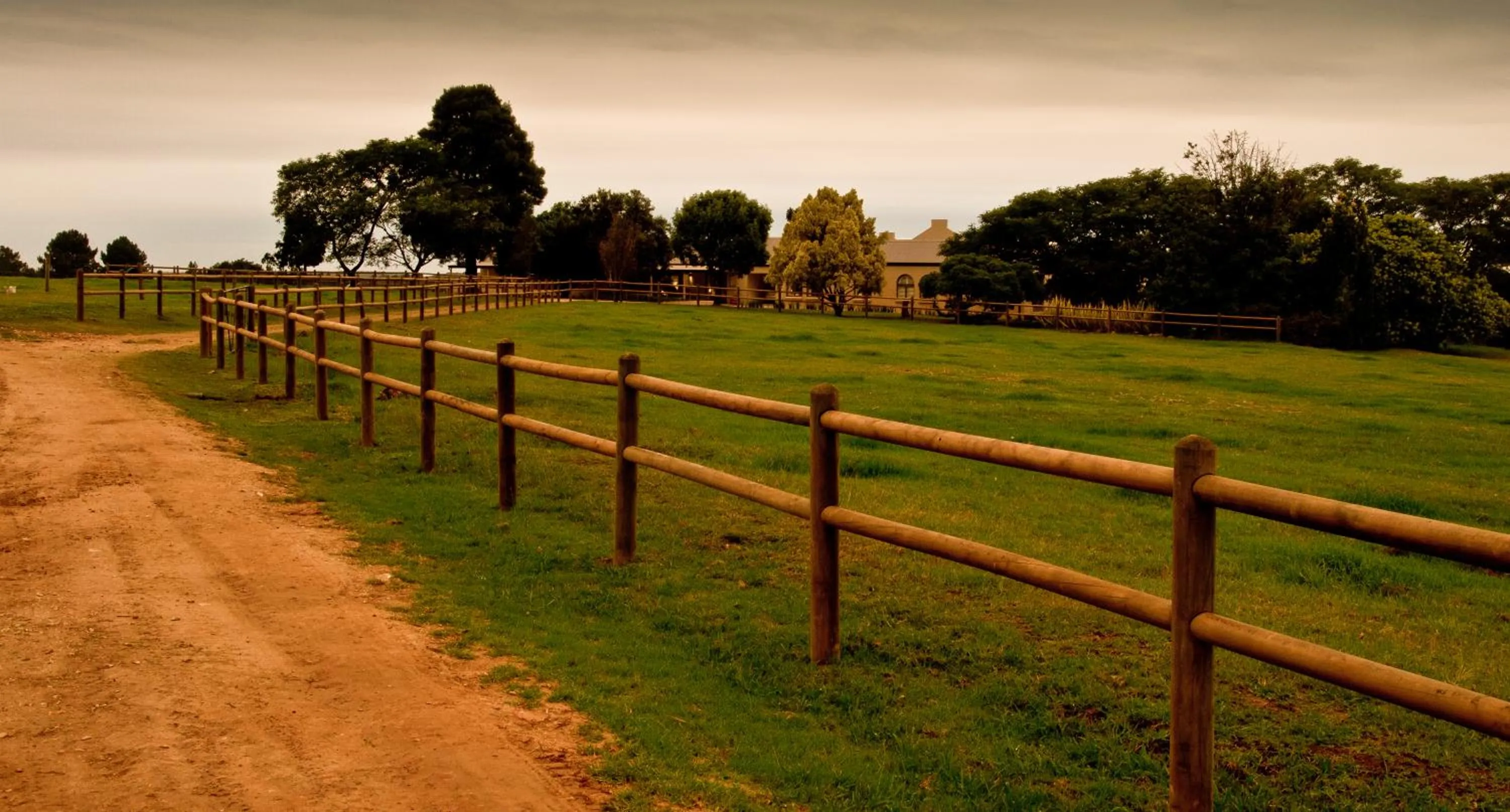 Kay and Monty Vineyard View