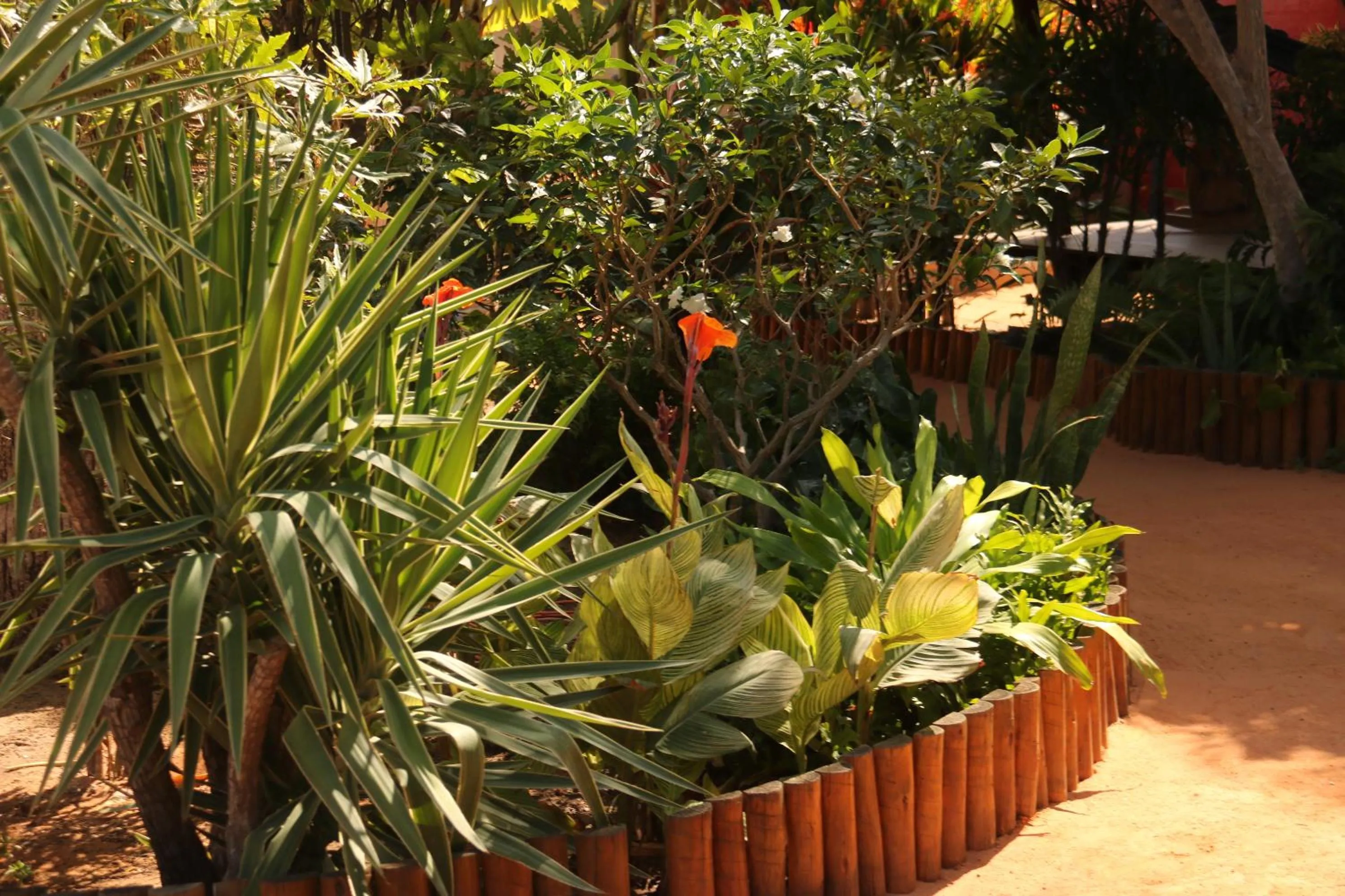 Day in Casa do Jardim- Villa Botanica