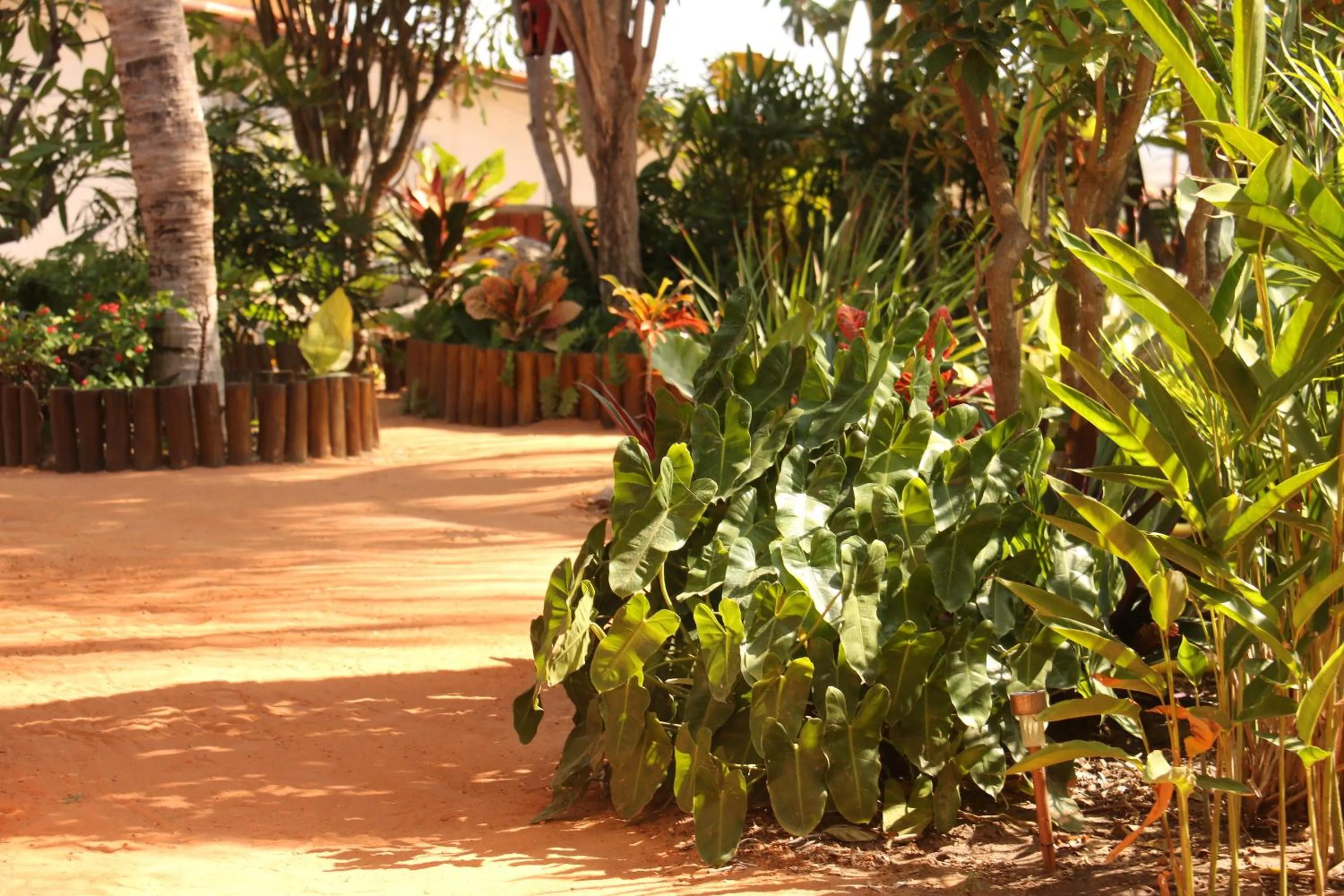 Day in Casa do Jardim- Villa Botanica