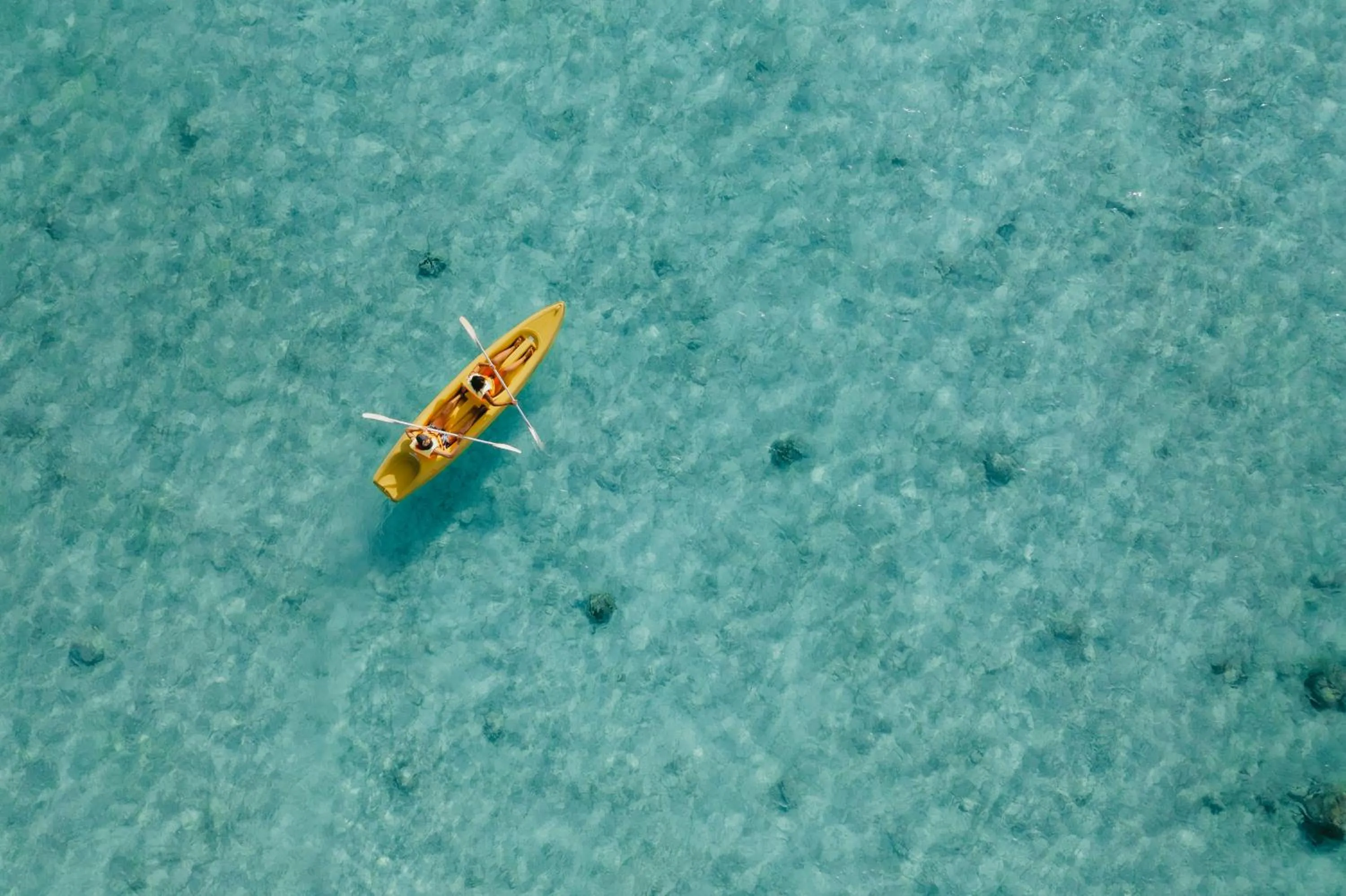 Natural landscape in Cotton Bay Resort & Spa