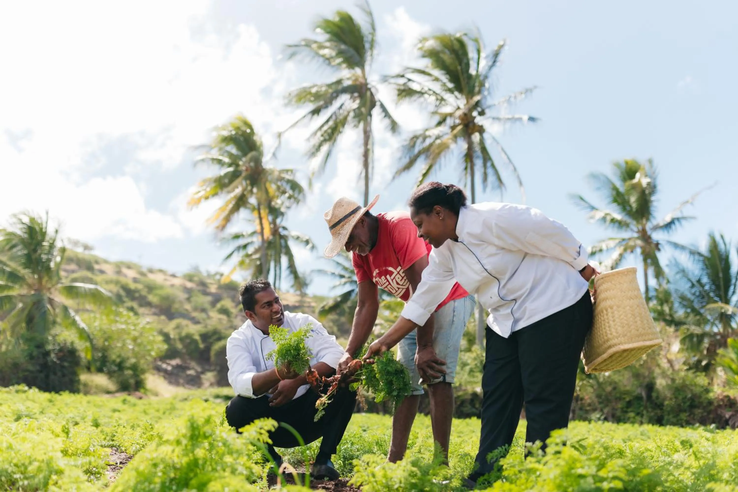 Day in Cotton Bay Resort & Spa