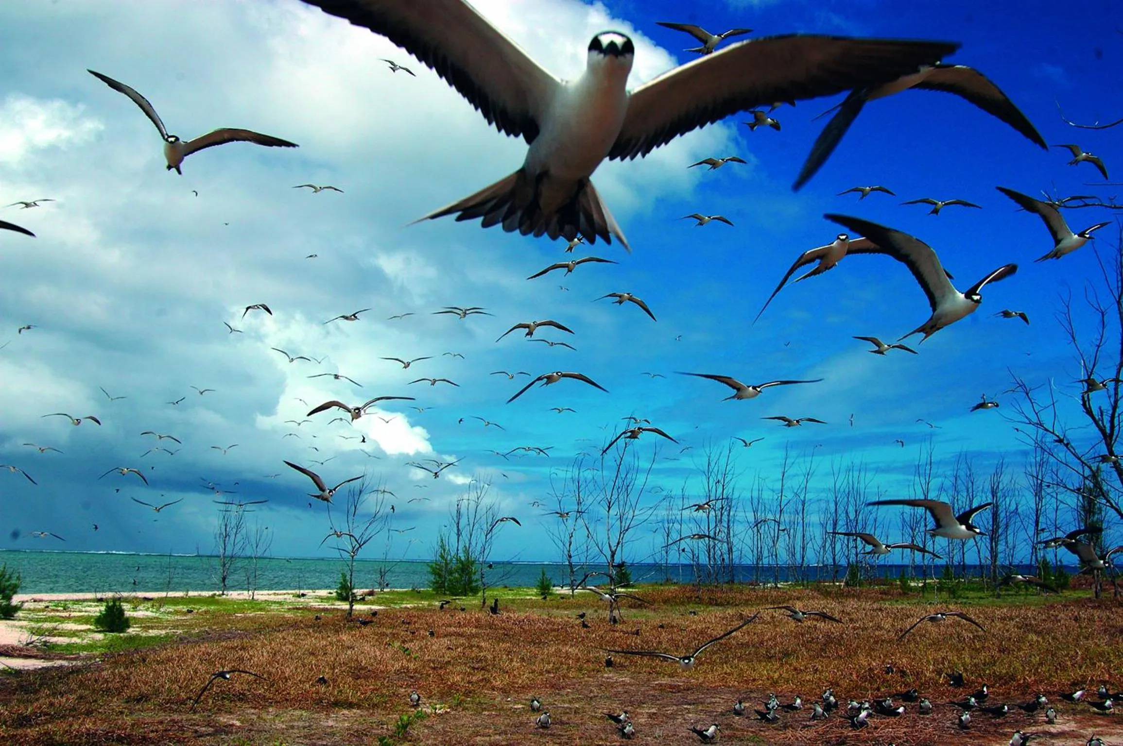Natural landscape in Cotton Bay Resort & Spa