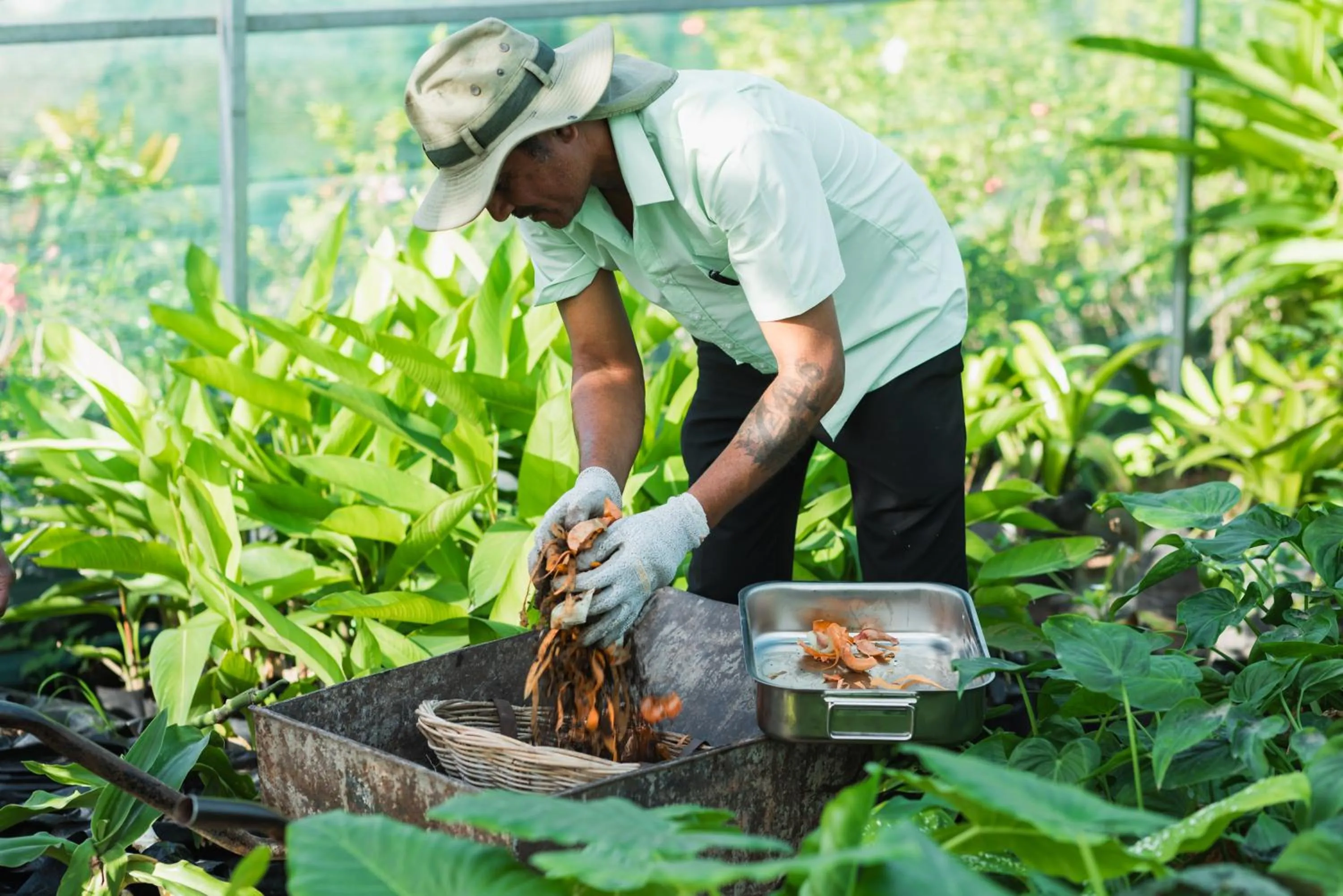 Day in Cotton Bay Resort & Spa