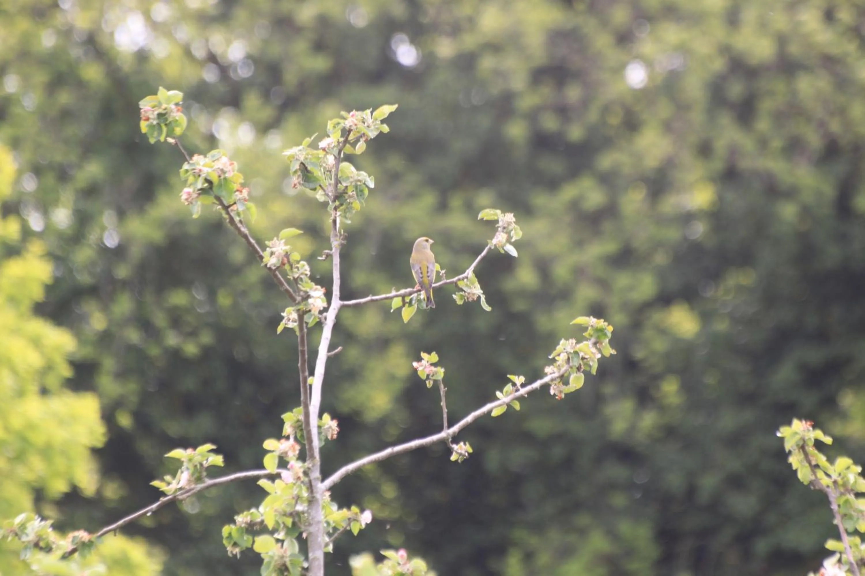 Natural landscape in Naturperlen