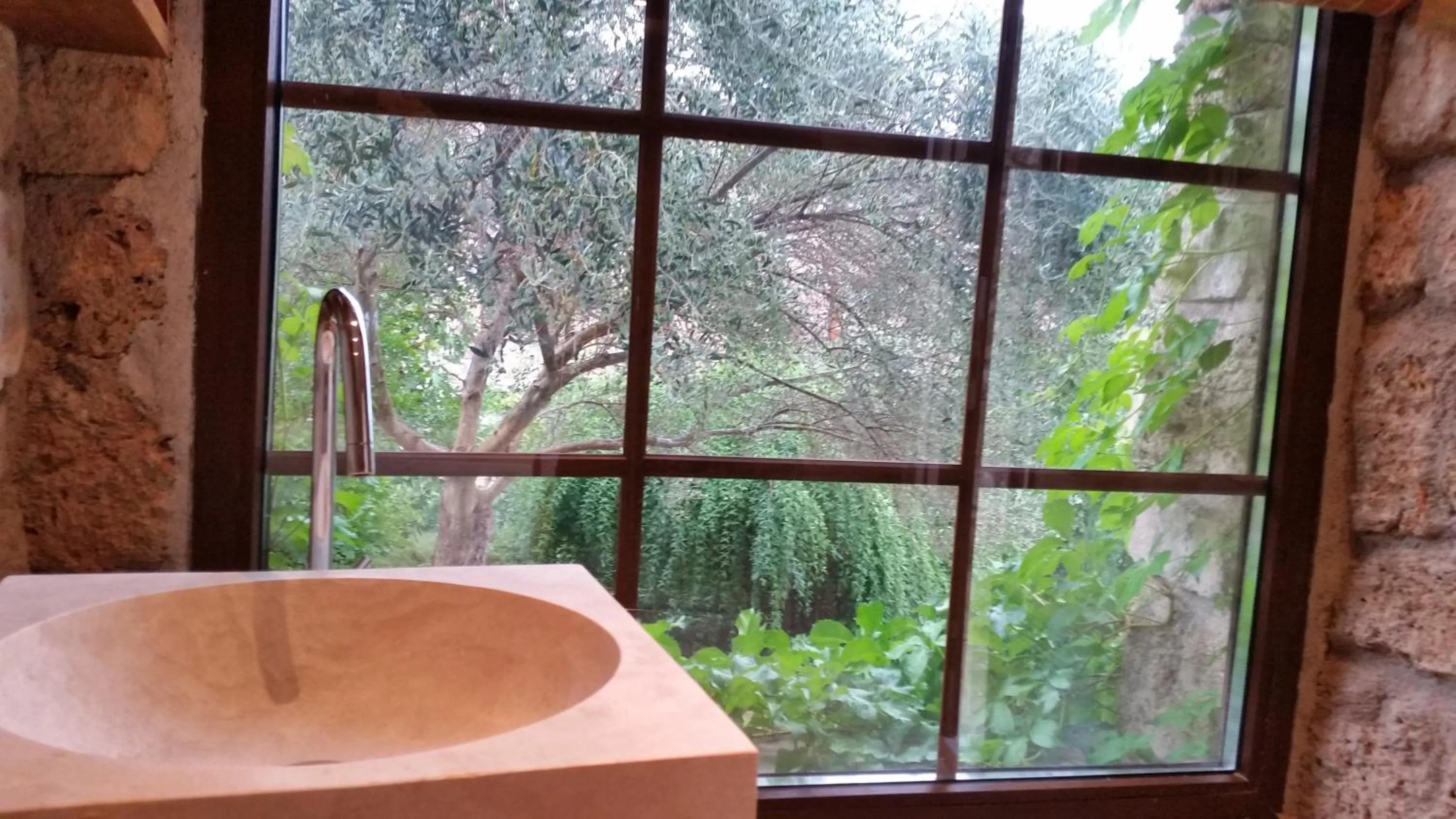 Garden in Villa Arca