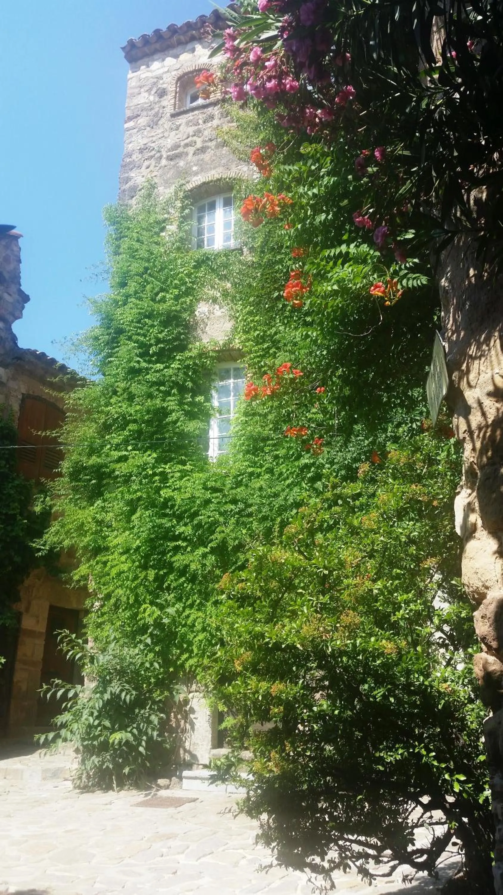 Neighbourhood in Villa Arca