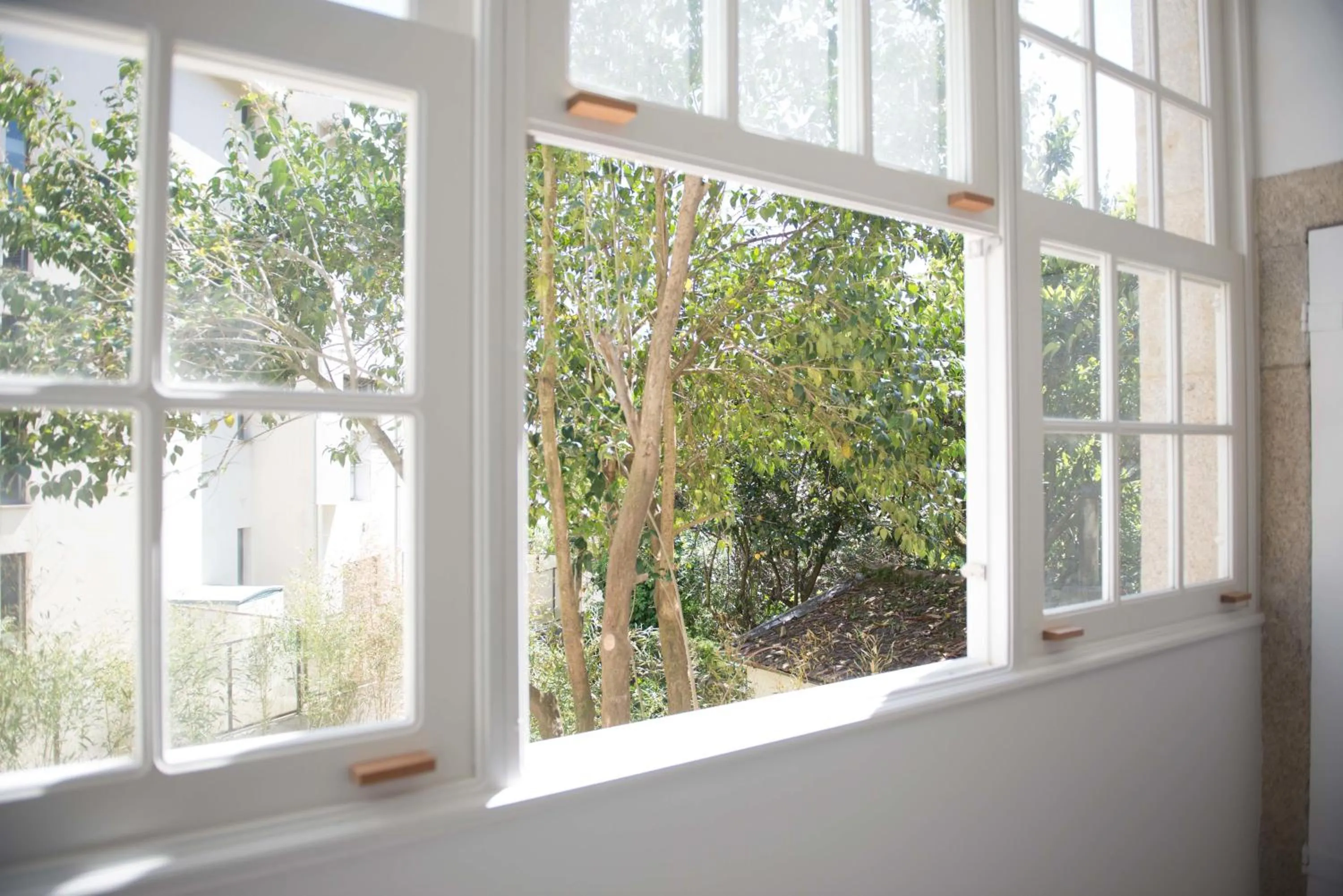 Garden view in Porto Vintage Guesthouse