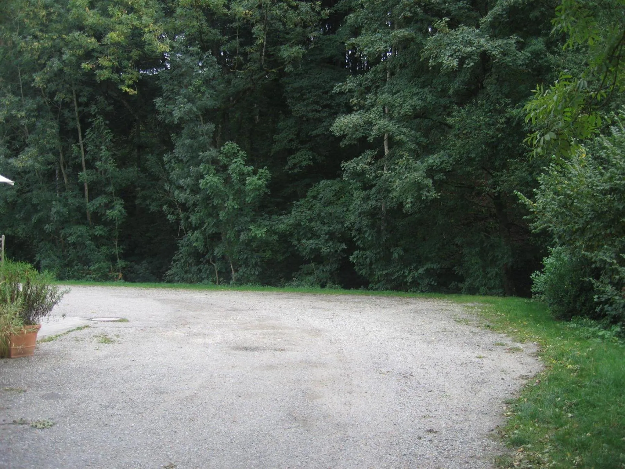 Day in Reischacher Hof