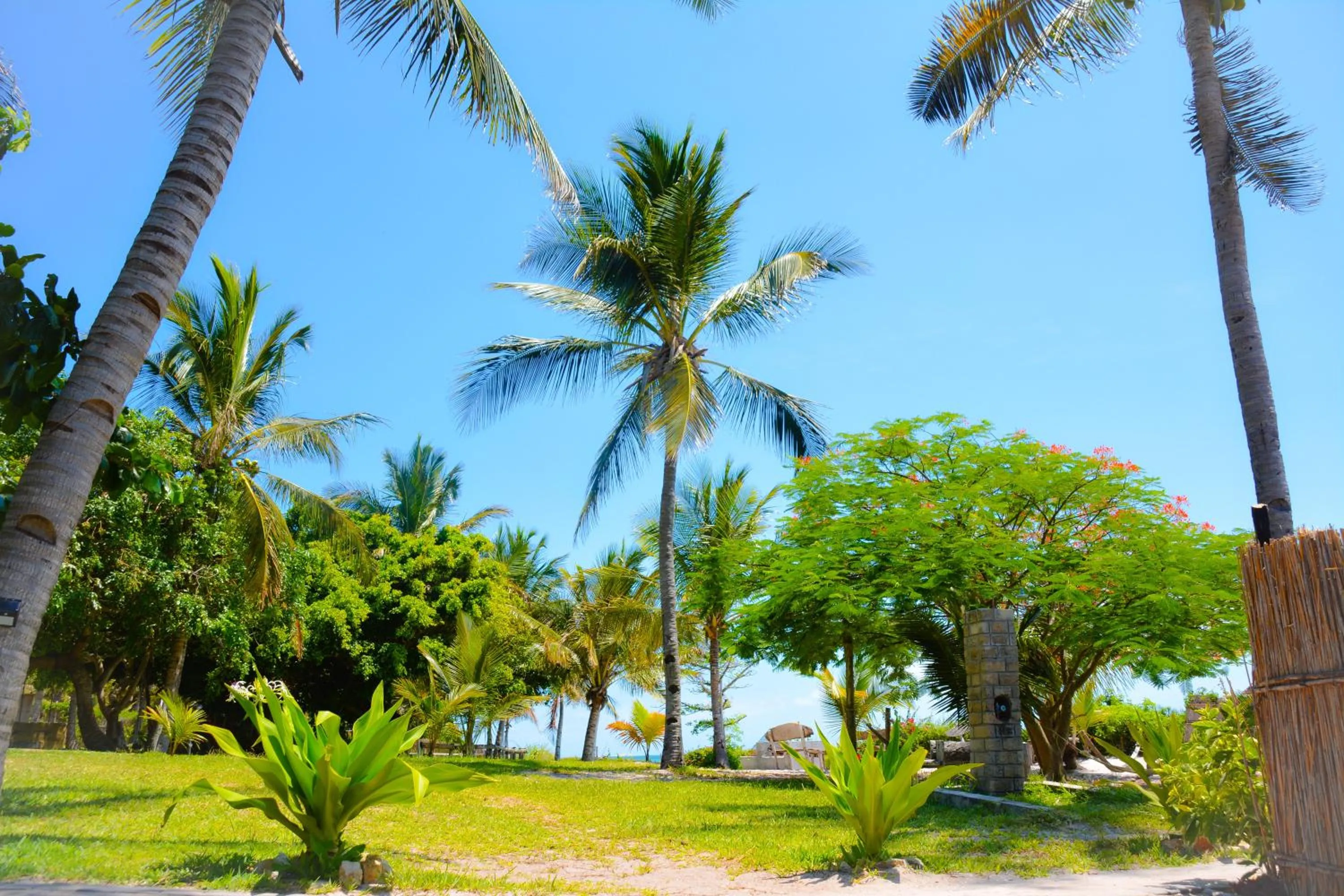 Garden in Baobab Beach Vilanculos