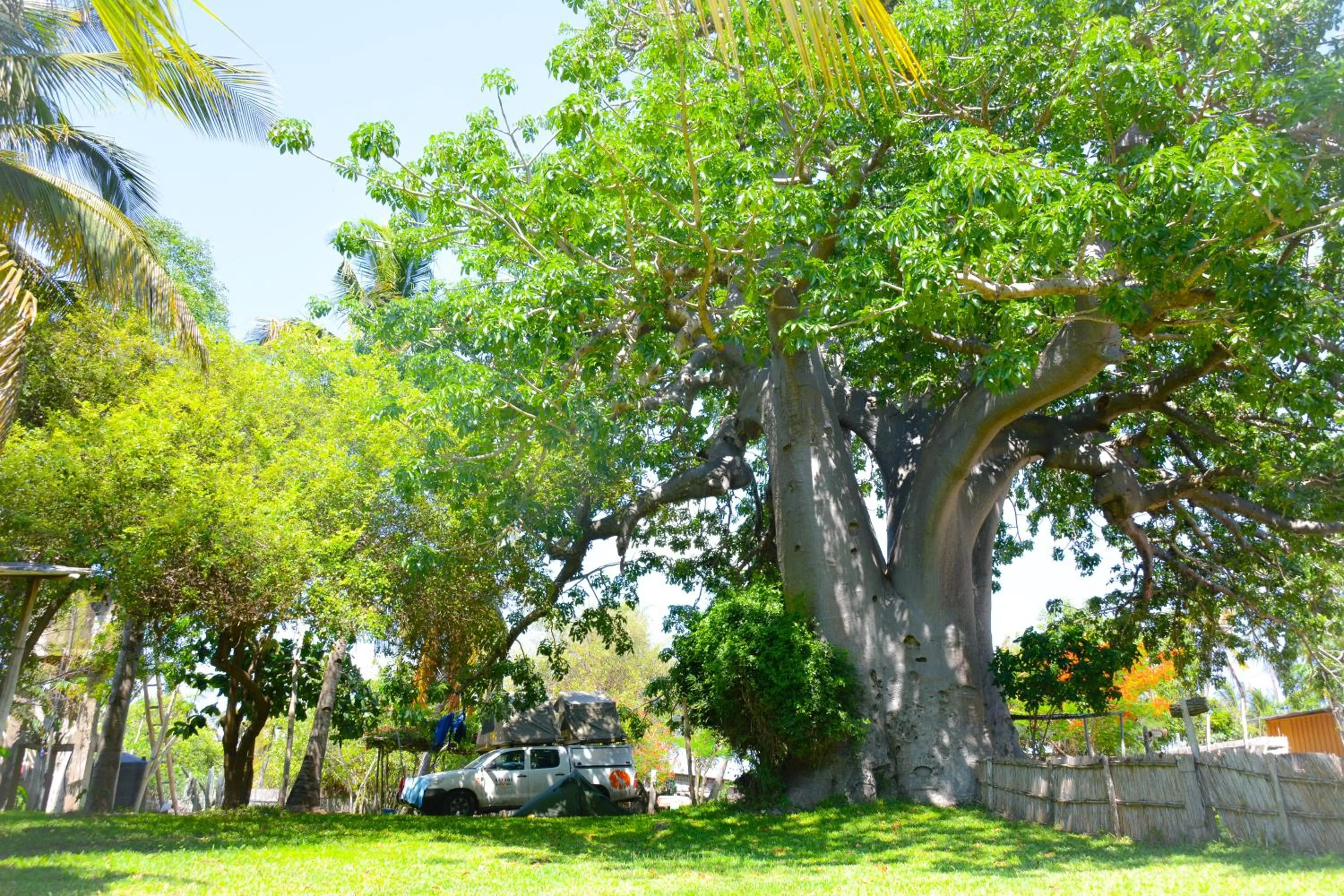 Garden in Baobab Beach Vilanculos