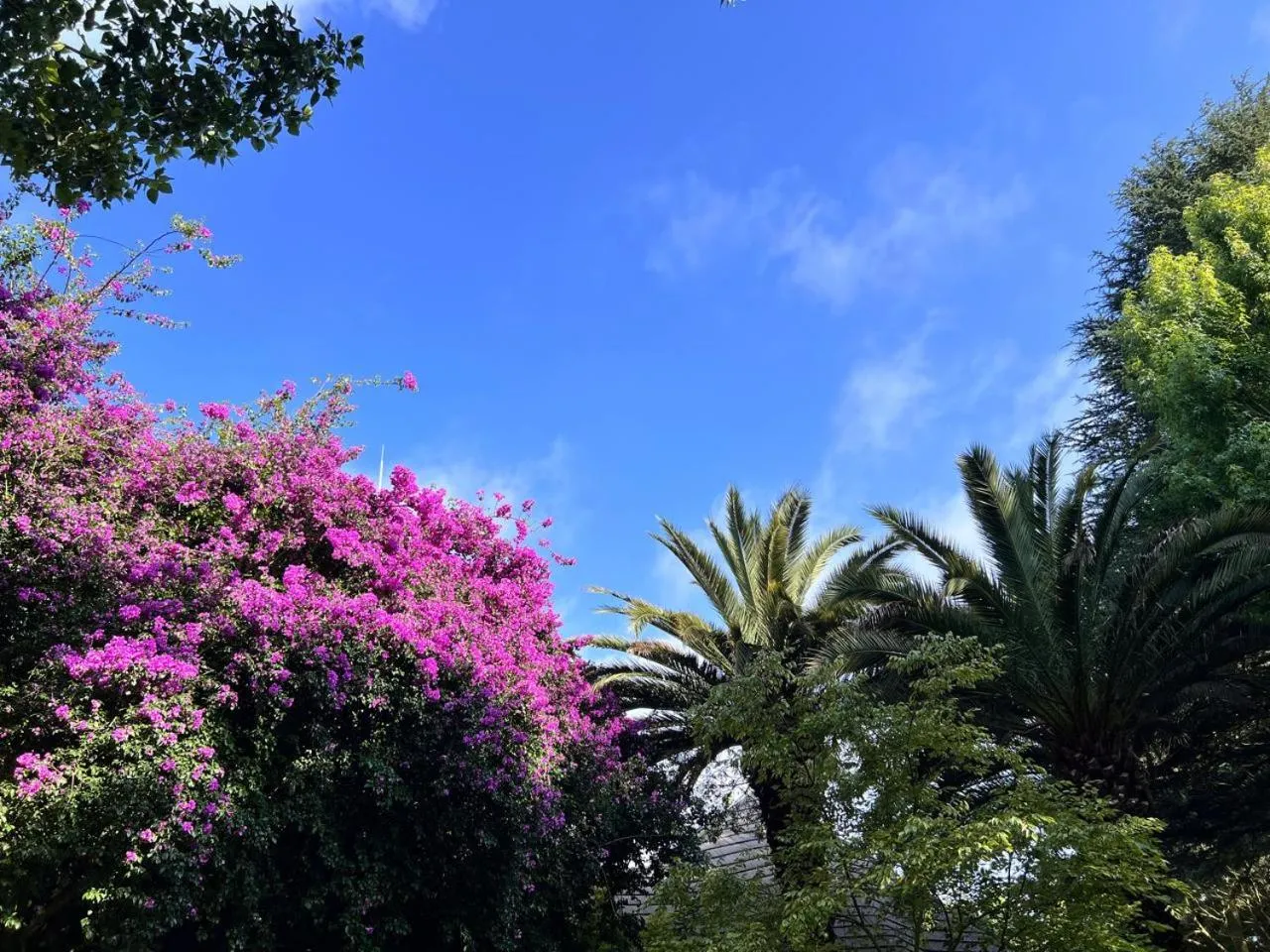 Highveld Splendour Boutique Bed and Breakfast