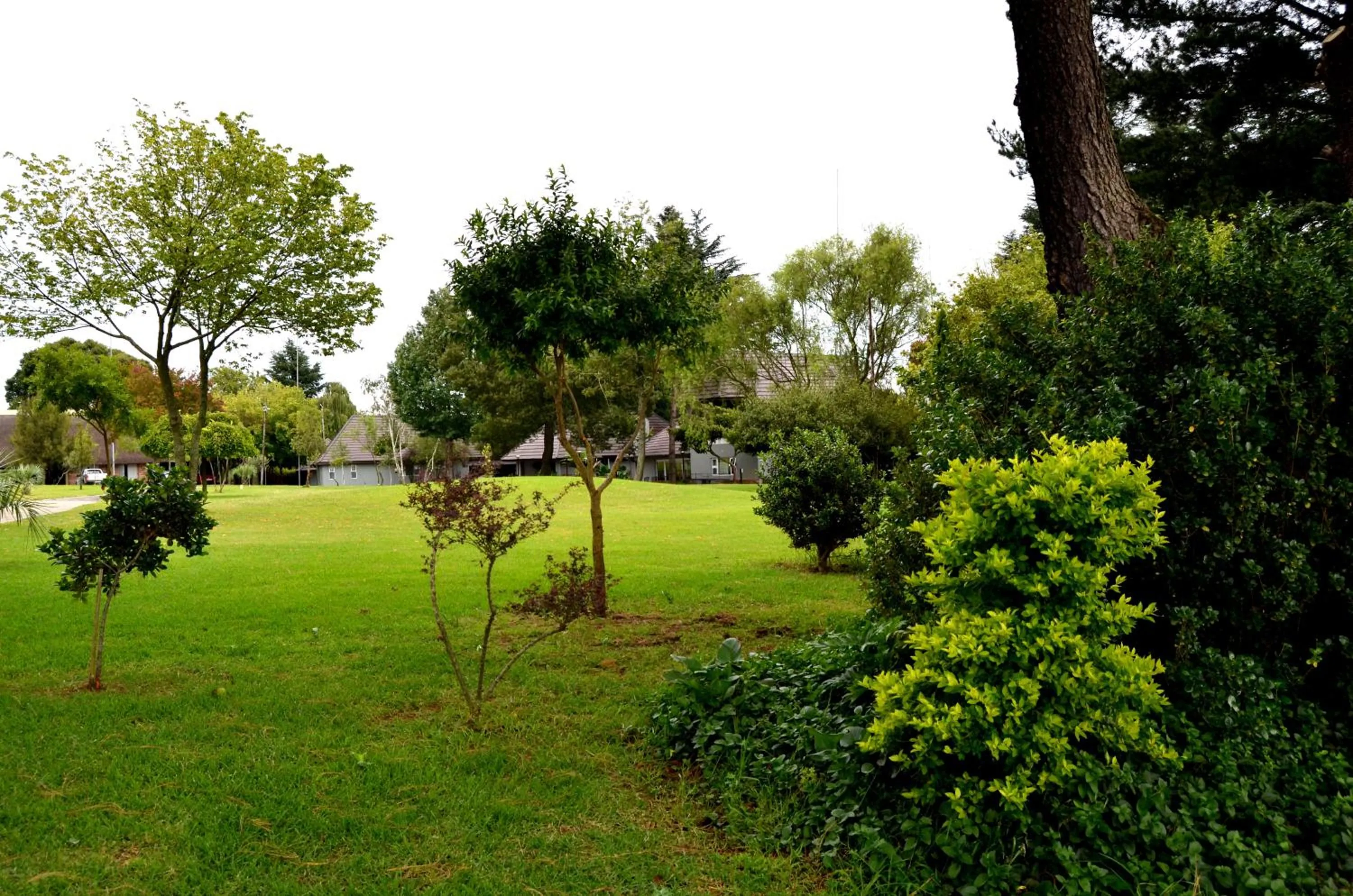 Highveld Splendour Boutique Bed and Breakfast